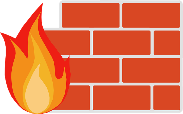 New Cisco Remote Access SSL VPN Vulnerabilities Released