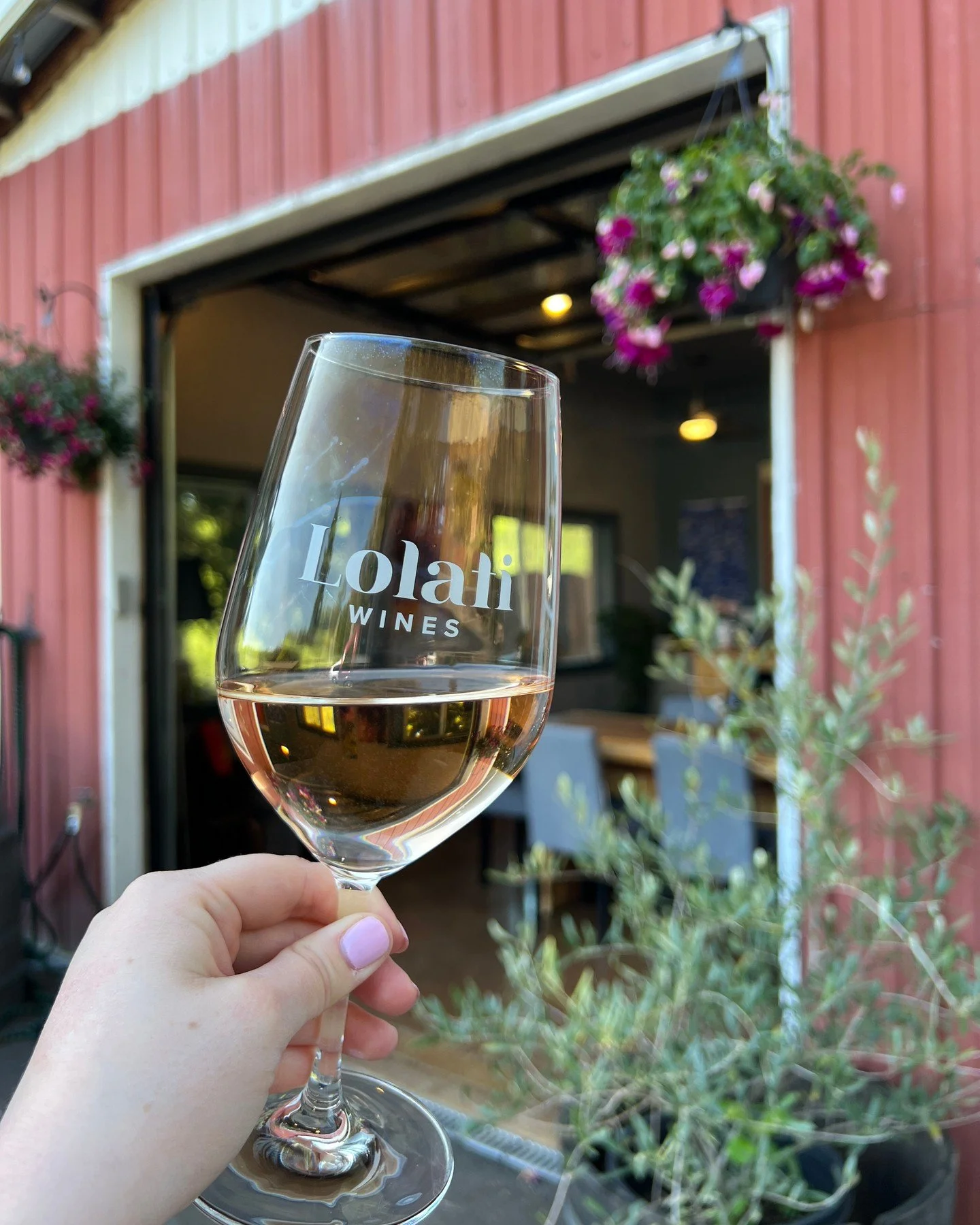 Sunshine is in the forecast, which means Ros&eacute; is in our glass! Get the new 2025 Ros&eacute; of Grenache in our tasting room on the flight and by the bottle. We're open by appointment Friday-Sunday from 11-5. Let us know you're coming, and we'l