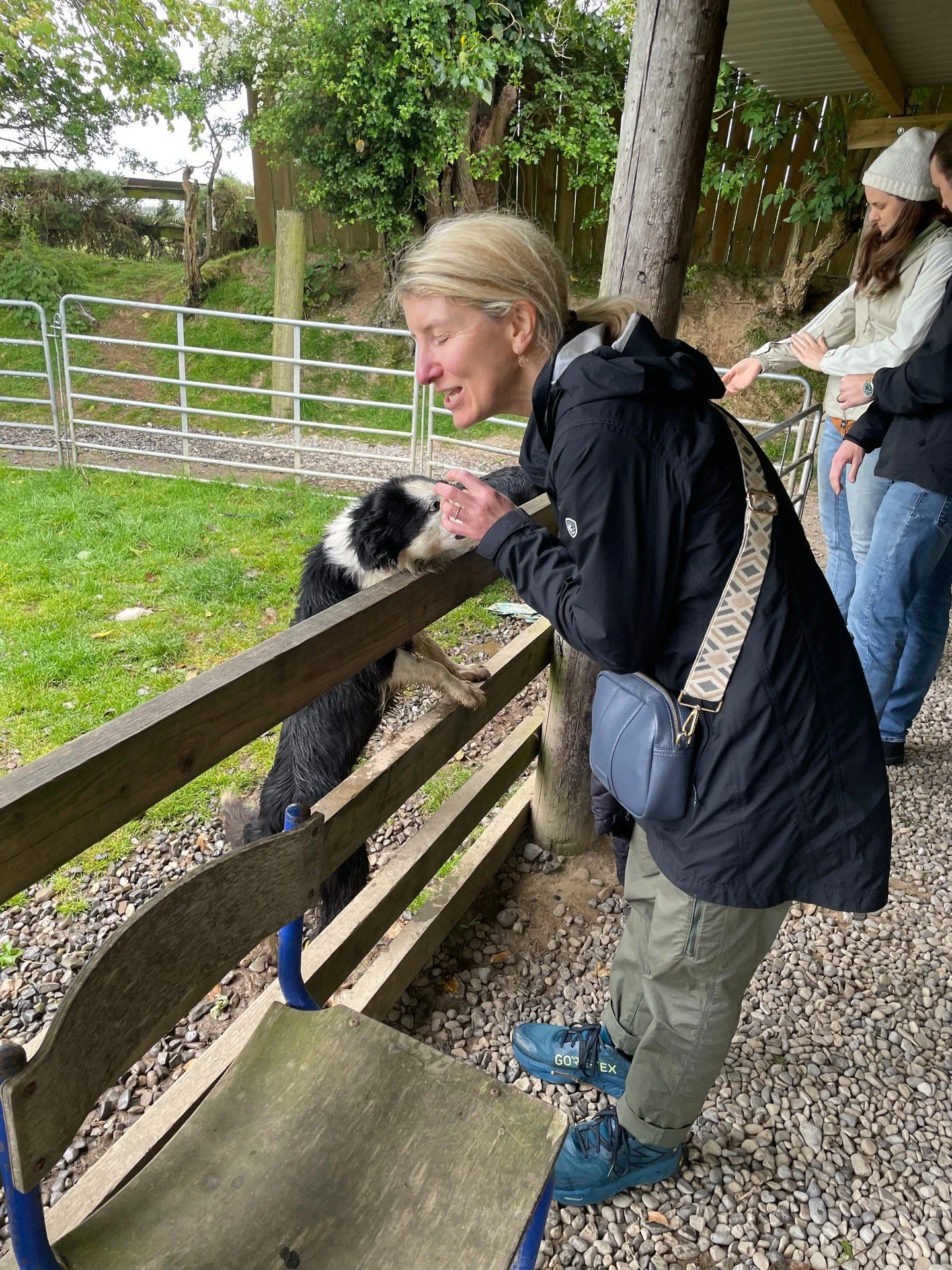 An excerpt from our recent newsletter:

Ron and I spent over two weeks traveling around Ireland, where we explored various cities, coastal towns, the Ring of Kerry, pubs, beer, whiskey, and most importantly, sheep herding.  The green landscape, fille