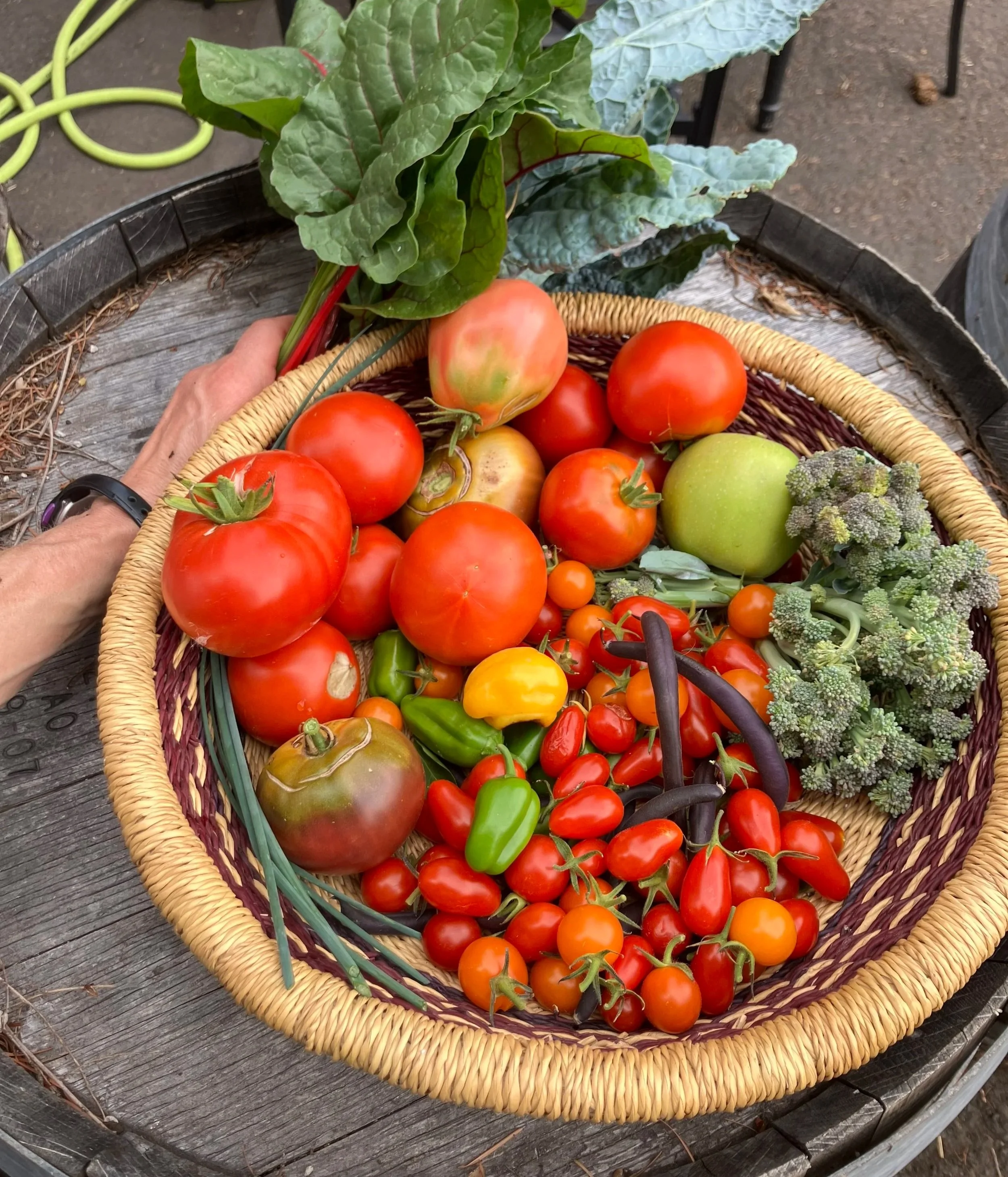 Leigh’s Bruschetta