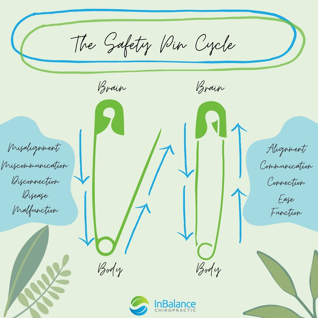 Restoring balance with the safety pin cycle✨🔄 

The safety pin cycle is a visual example of the body-brain connection🧠

 It displays the impact of spinal alignment on overall body function!

#balance #alignment #function #wellness #health #healthan