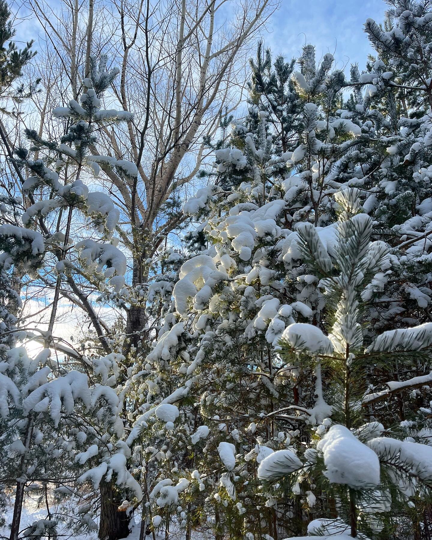 Wellness Tip Wednesday 🌿🌅

With the weather warming up this week, an excellent way to support your wellness is getting out for a nature walk! 

There are some beautiful locations in Saskatoon to visit, and what better time to get out and reset in n