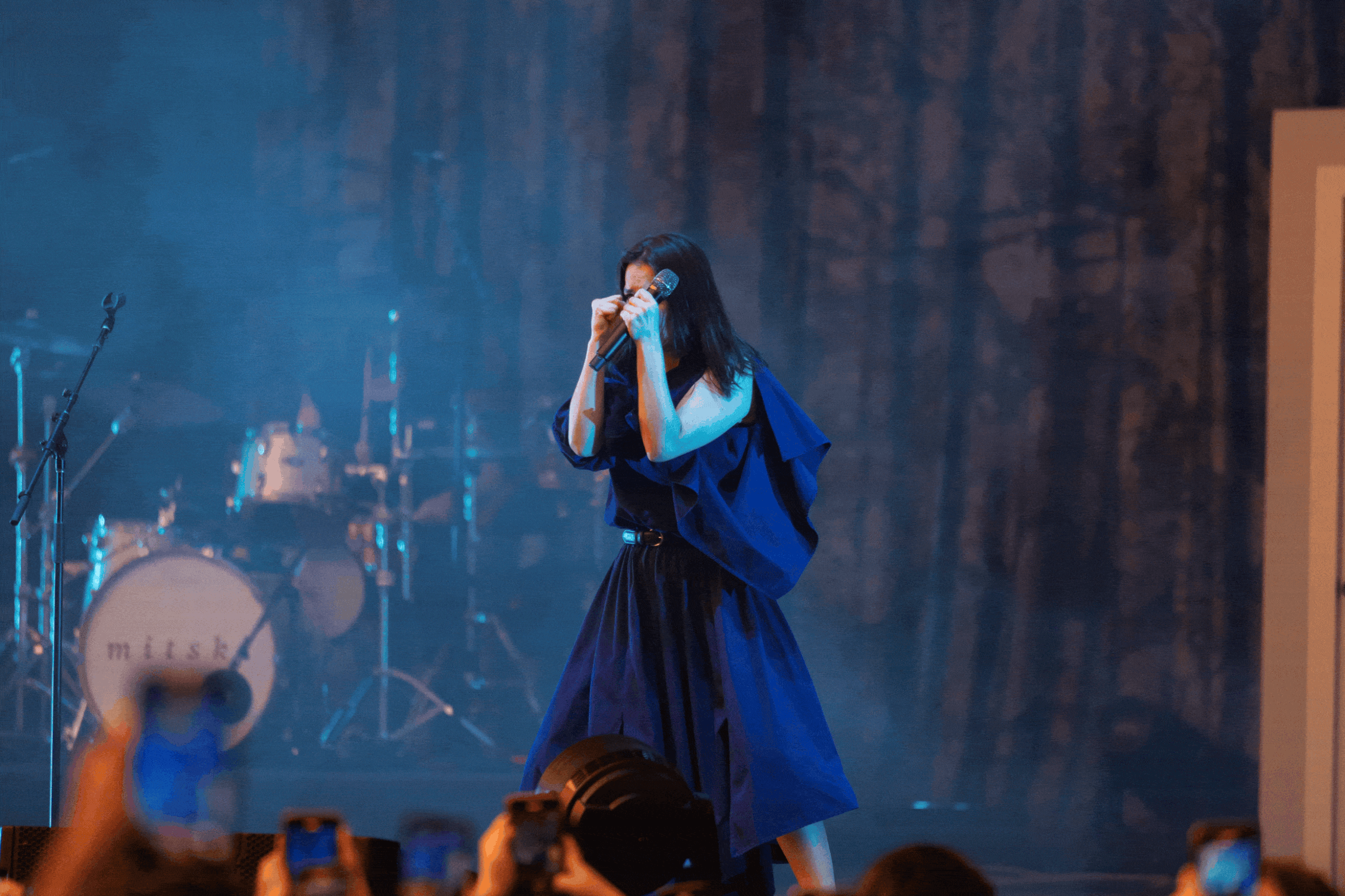 psdplzmitskipunch (1).gif