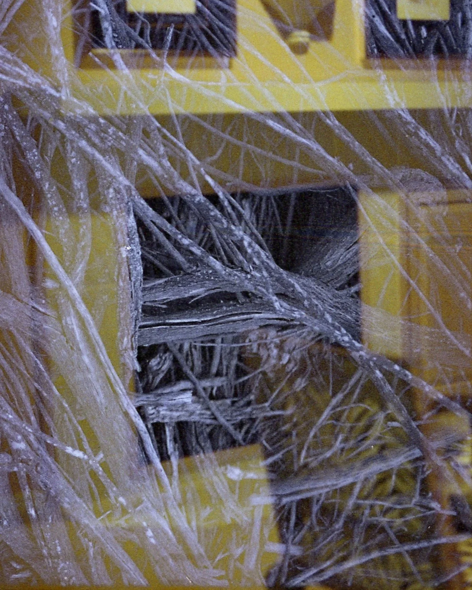 img325.jpg