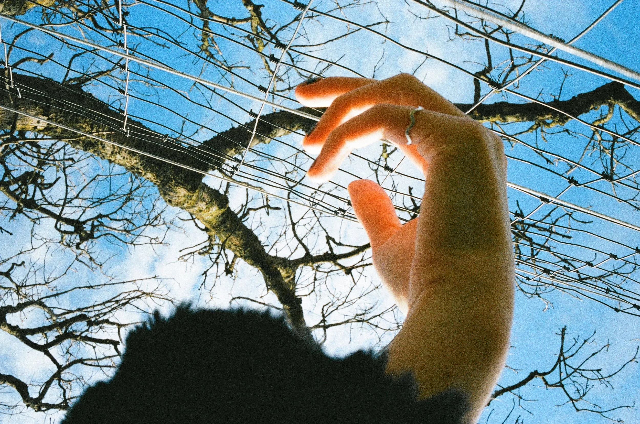 cover-6.jpg