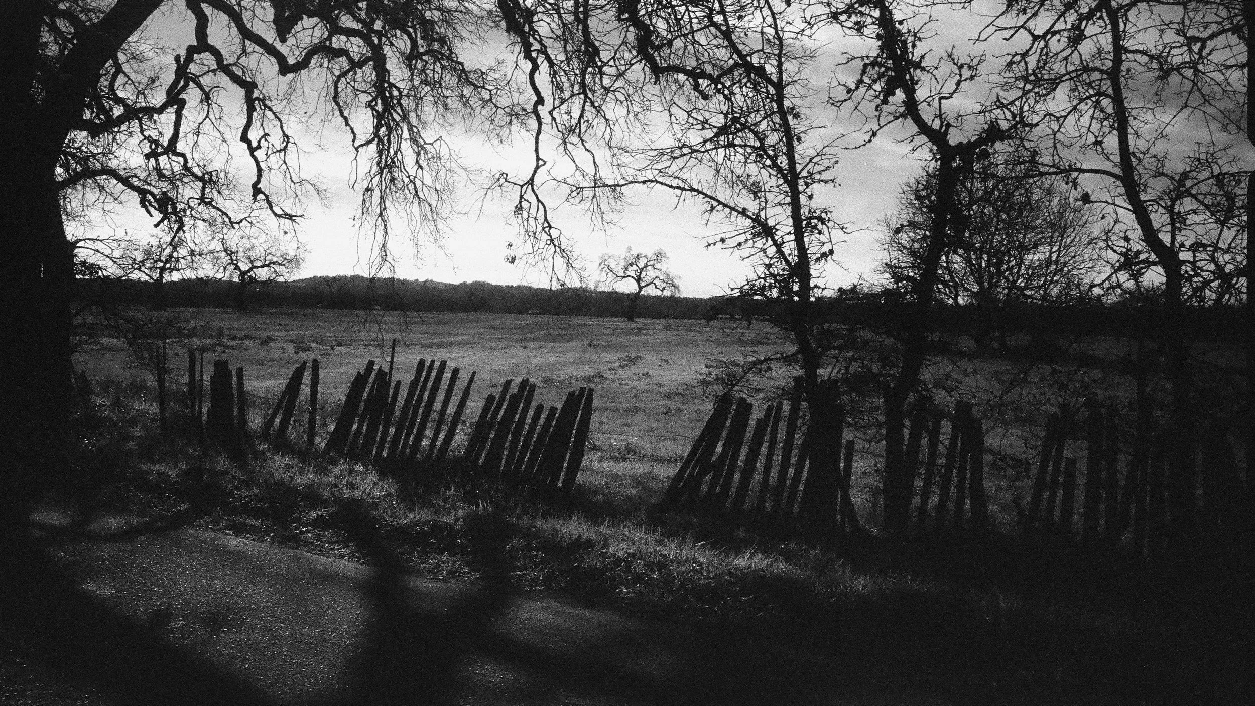 untitled-24-4.jpg