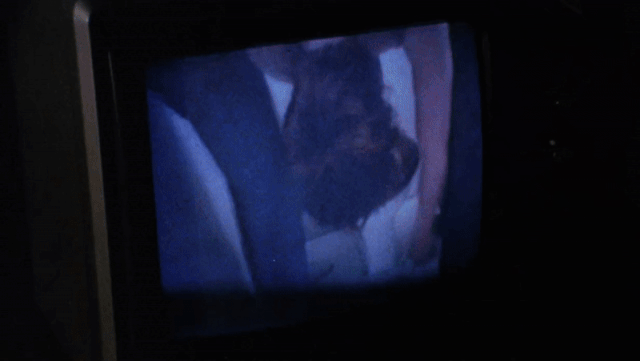 ezgif.com-resize-3 copy.gif