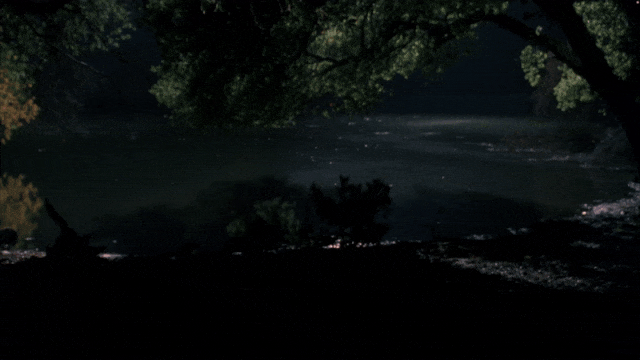 livingston-ezgif.com-optimize.gif