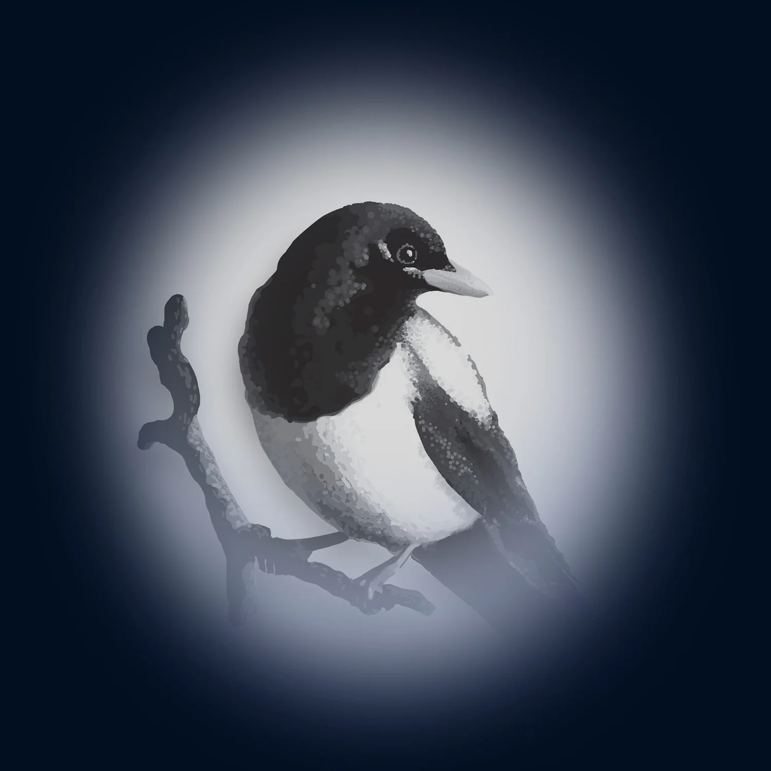 Magg Pie Photography