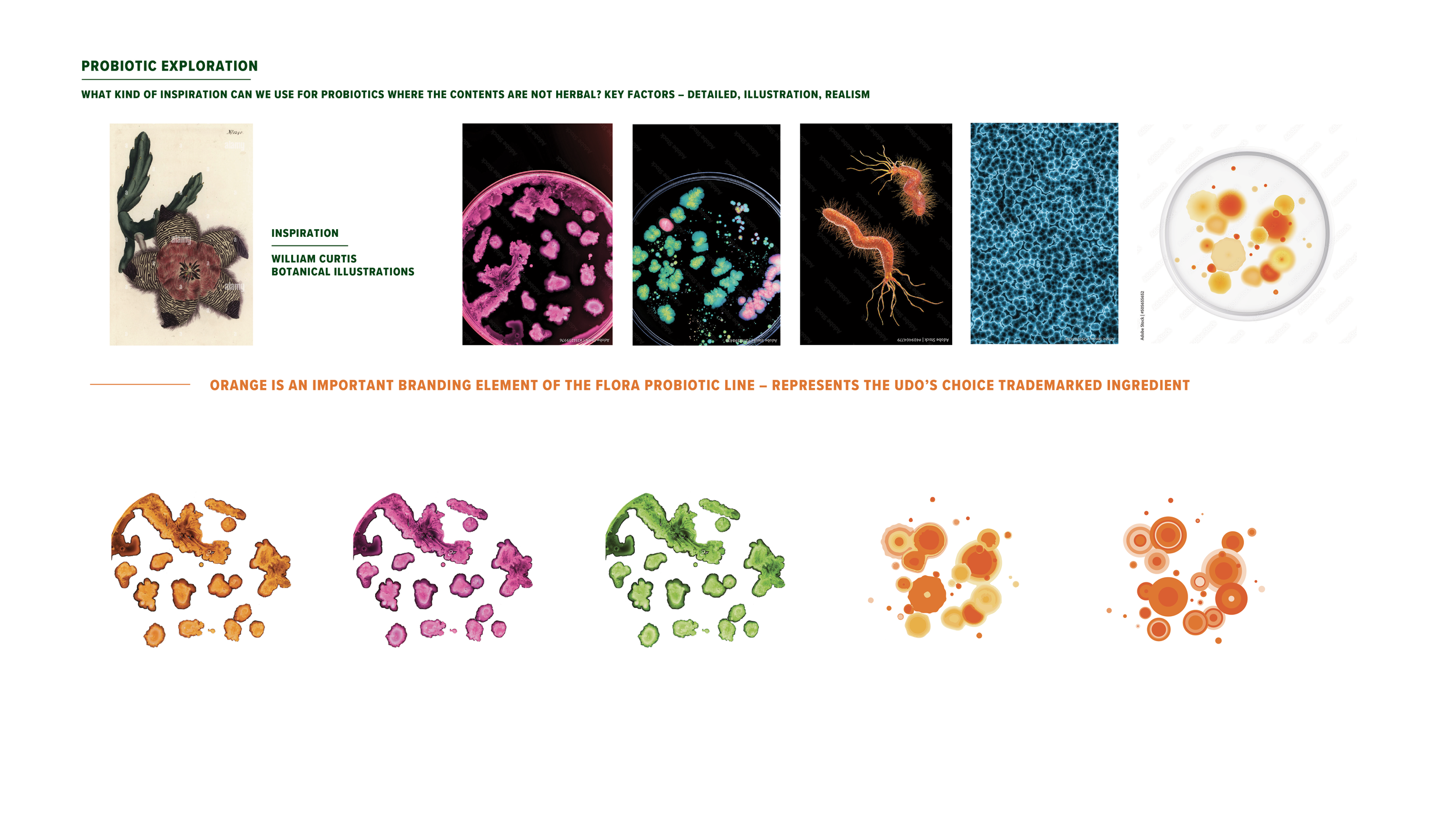 Probiotic-Study-1.png