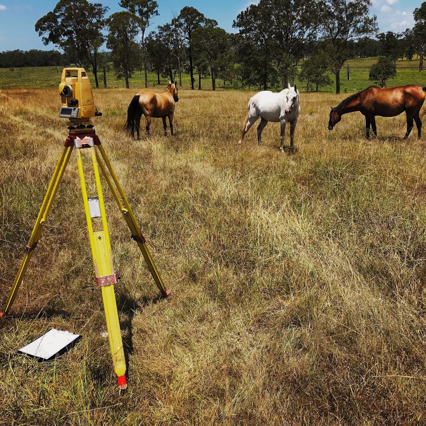 An old pic, but still a fave 🐴 
.
.
.
#lswsurveyors #surveylife #midnorthcoast #barringtoncoast #surveying #land #farm #farmlife #worklife #lovemyjob #greatoutdoors #horses #landsurvey #landsurveyor #countryliving #rural #regionalnsw #forster #tuncu