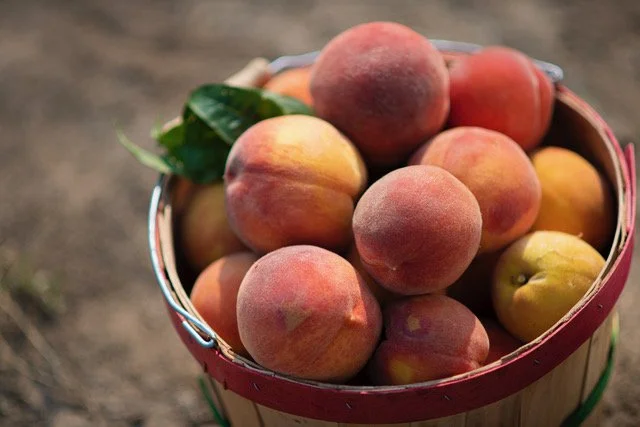 Wednesday’s at Webb Farmers Market