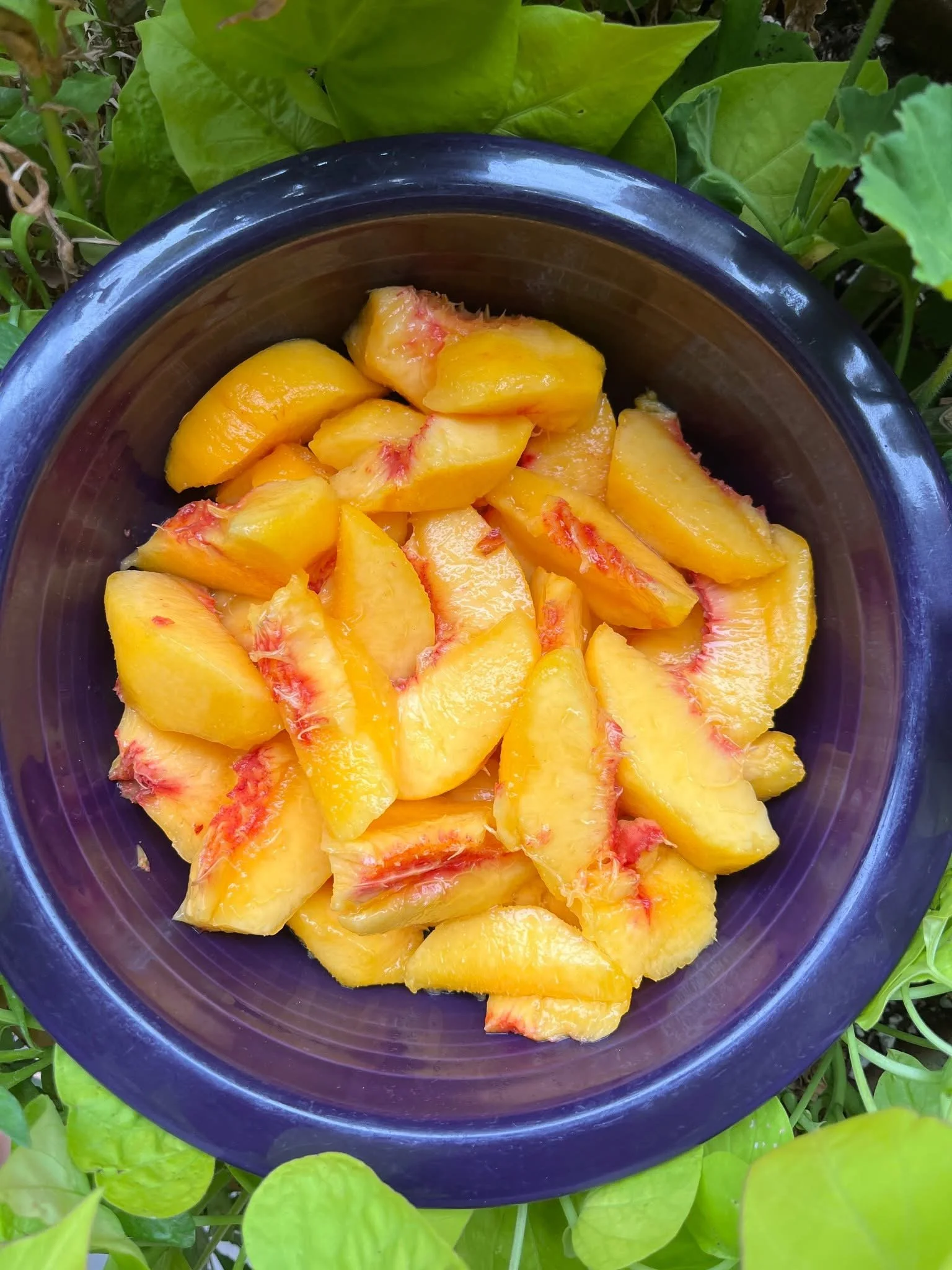 Peaches &amp; Ice Cream