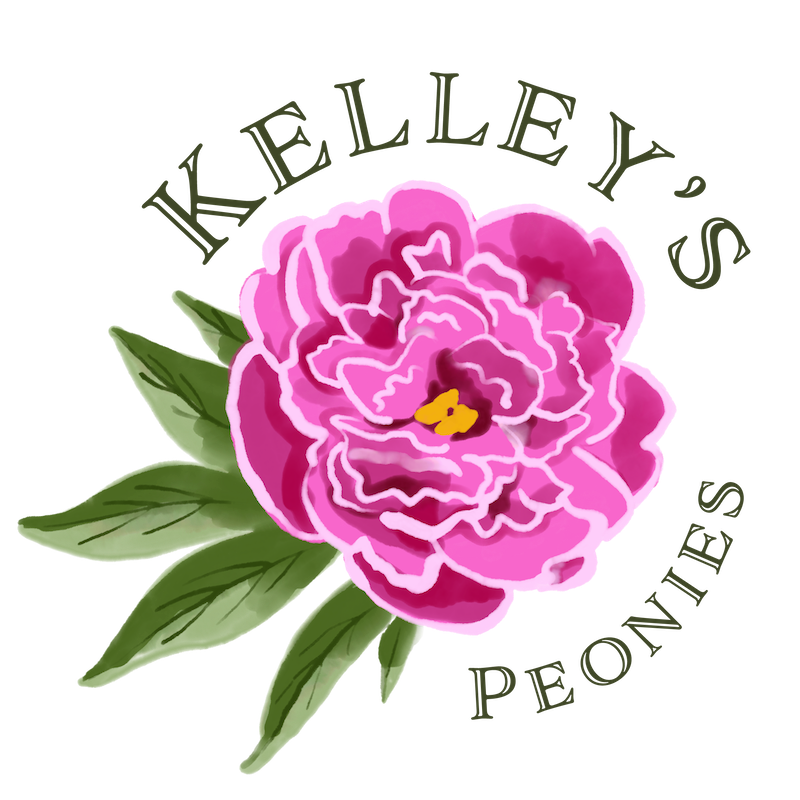 Peonies - opening day