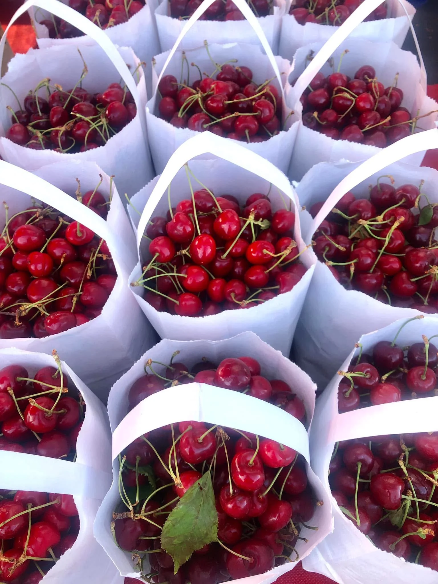Sweet Red Cherries
