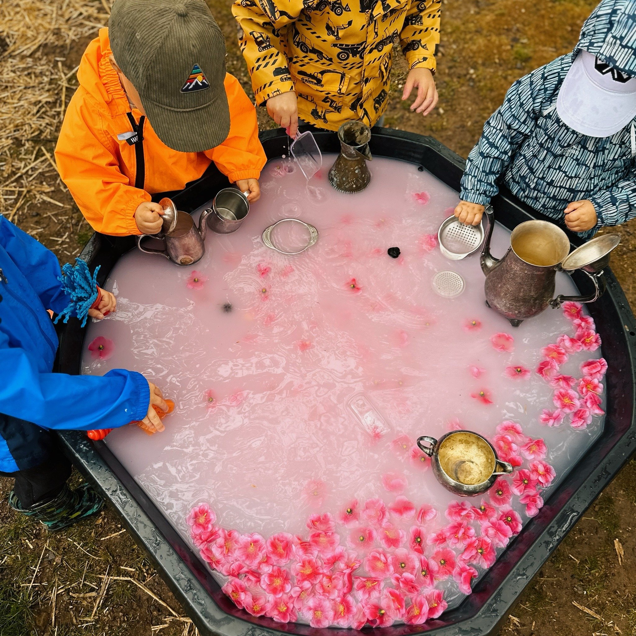 Rainy day magic with our Little Lunas explorers! 🌧️🌸

Today, we embraced the weather with open arms and immersed ourselves in the beauty of cherry blossoms. Our tuff tray was transformed into a wonderland of pink &amp; white, and plenty of toys bro