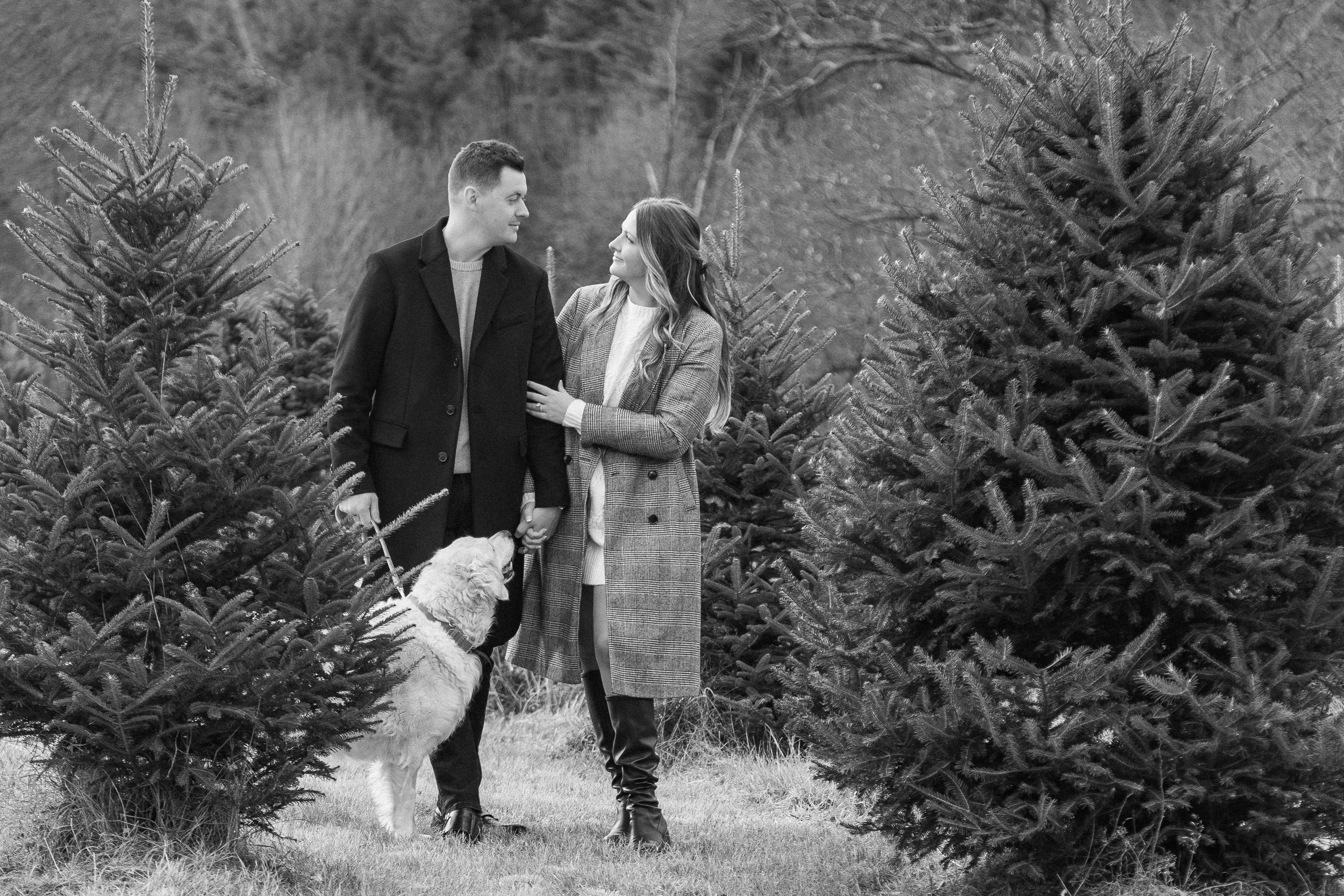 A couple walking through a tree farm with their dog