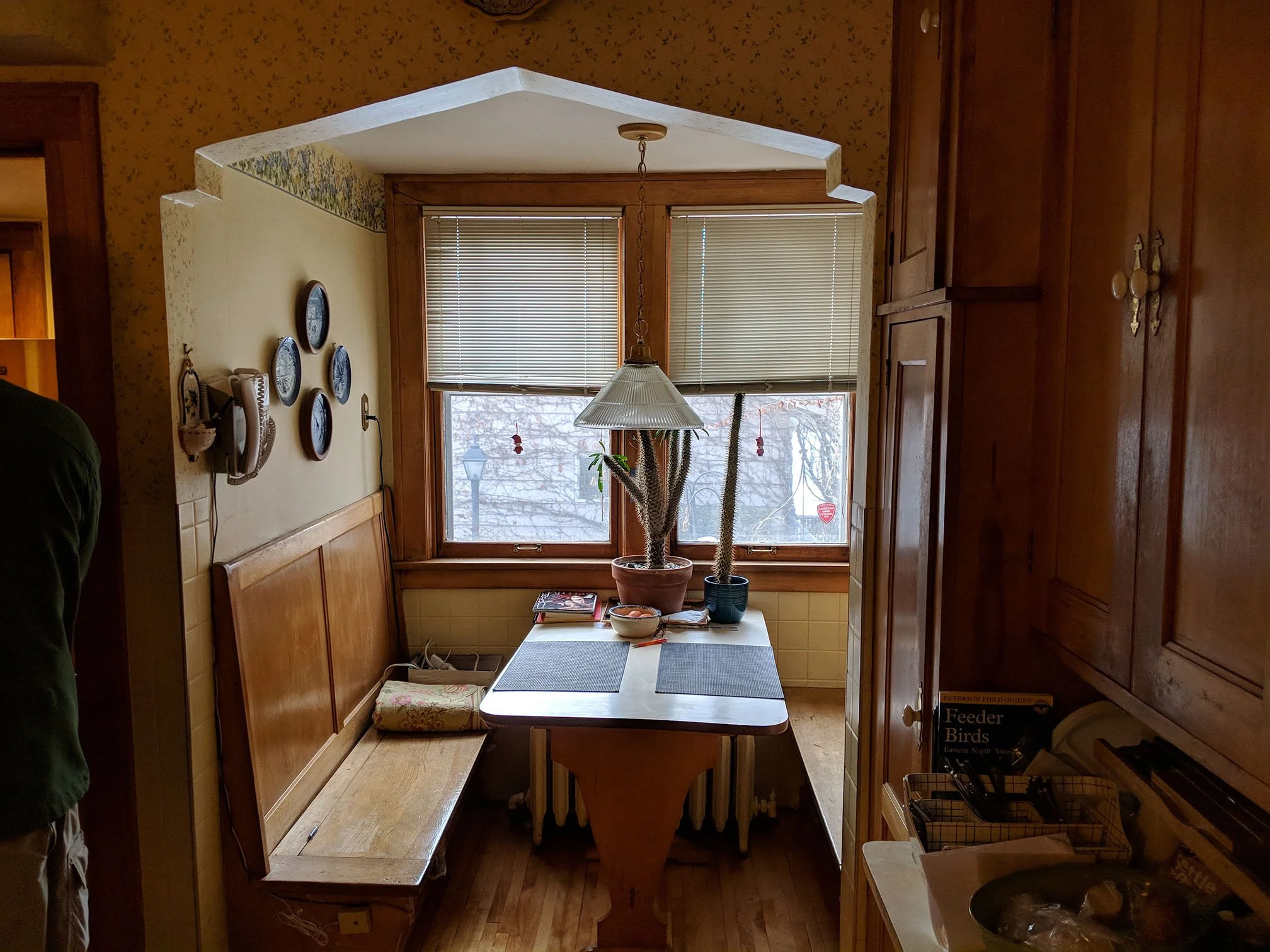 Kitchen - BEFORE.jpg