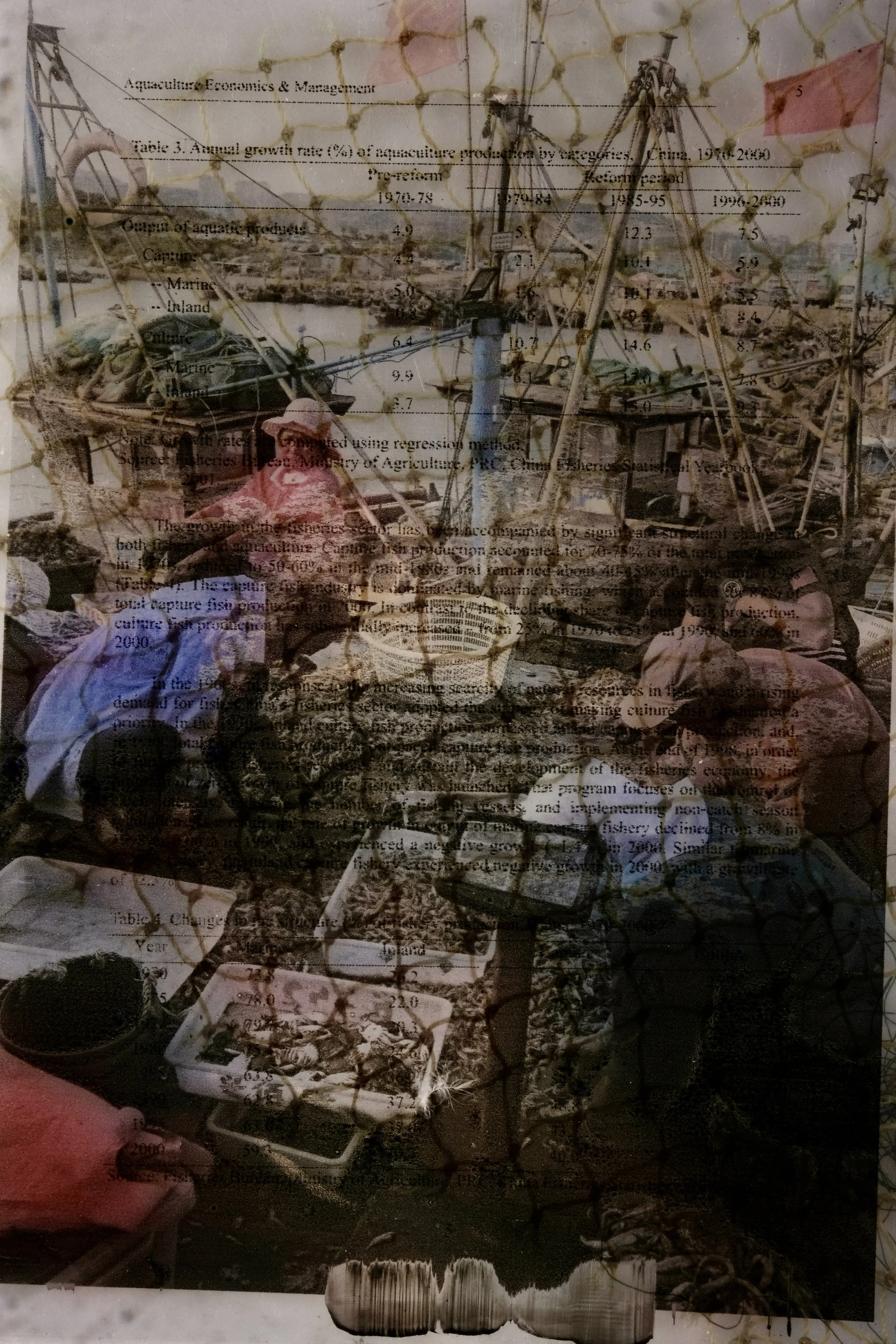  ?.. as yet unsure.jpeg