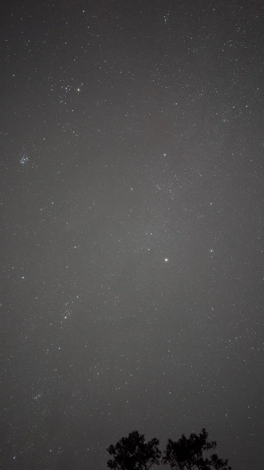 Nature Retreat 4.jpeg