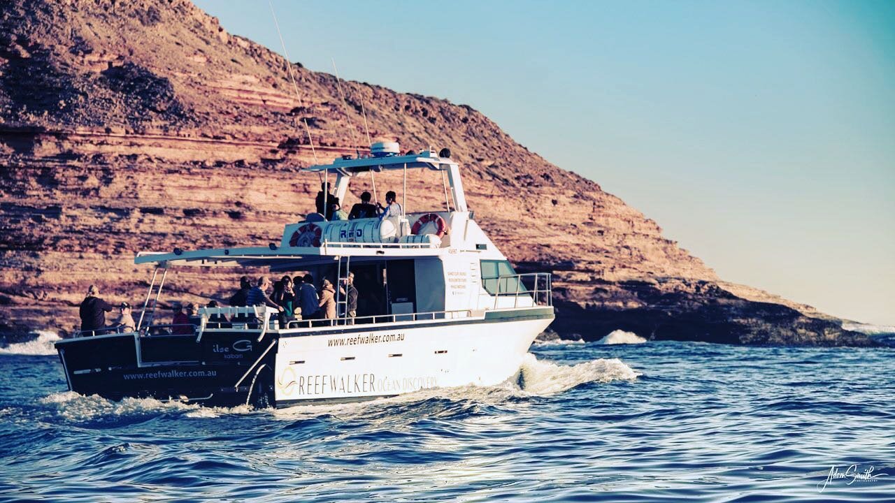 Step onboard with your drinks &amp; nibbles &amp; let us take you up close &amp; alongside Kalbarri&rsquo;s Coastal Cliffs as the sun sets over the ocean ~ the views are simply spectacular! 💫🥂🍻
.
www.reefwalker.com.au
.
Photography by @happy.dayz.