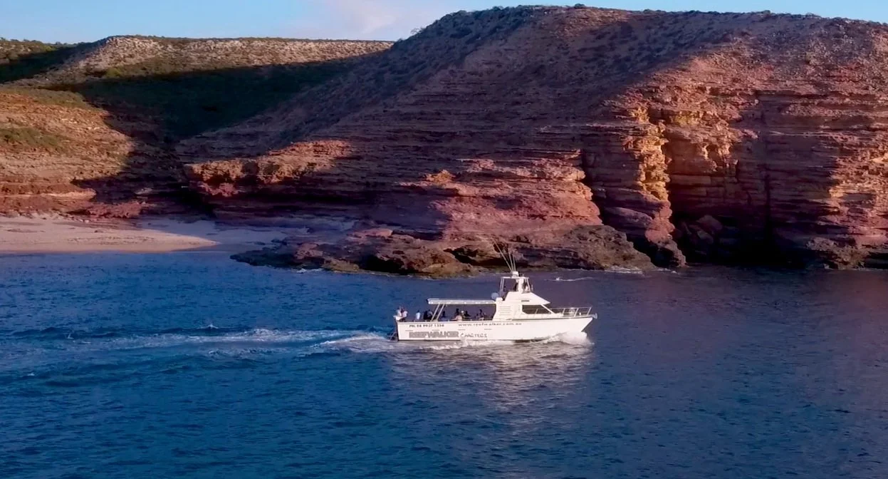 Reefwalker Ocean Discovery Tours