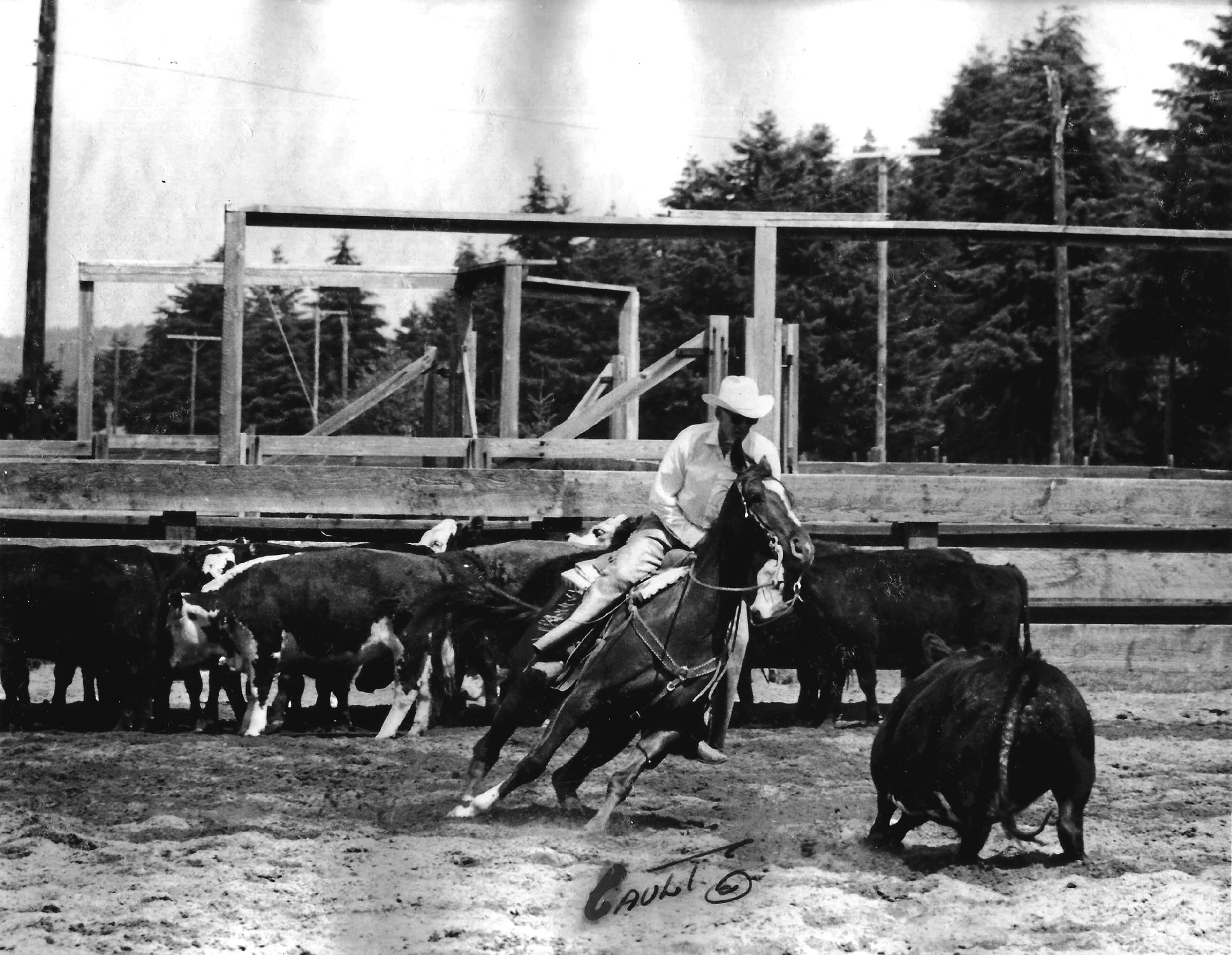 Buster Welch - AQHA