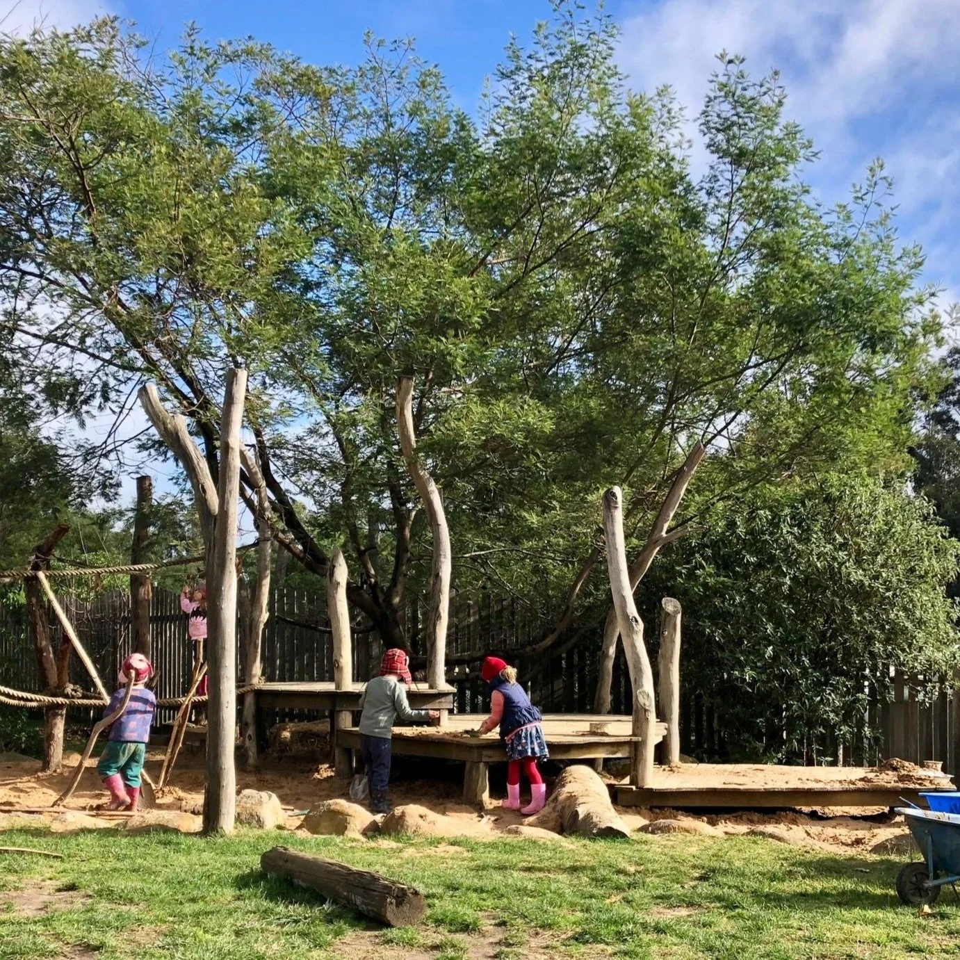 information-pack-ballarat-steiner-kindergarten-and-school