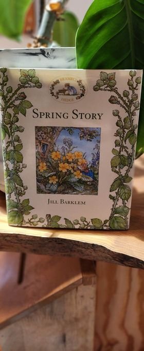 Brambly Hedge - A Spring Story
$15.00