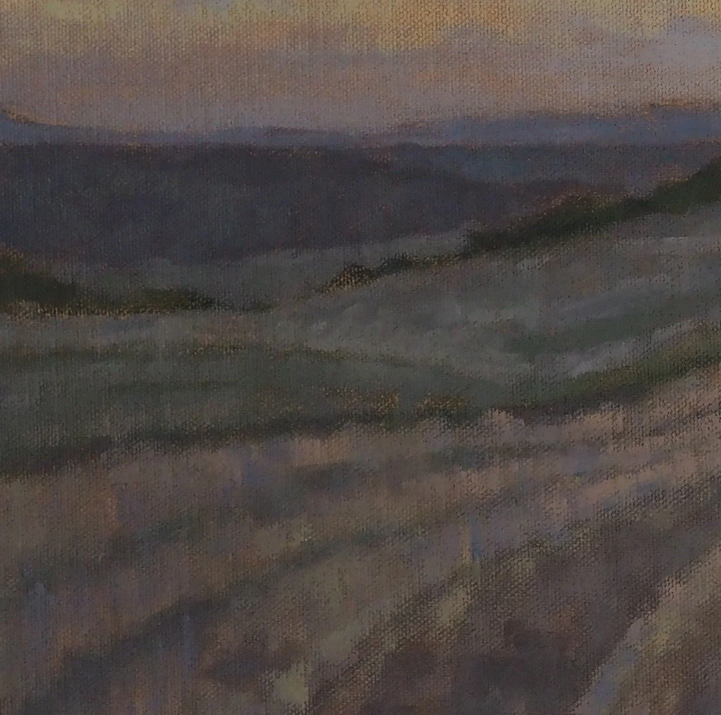 Entrevennes evening detail 2.JPG