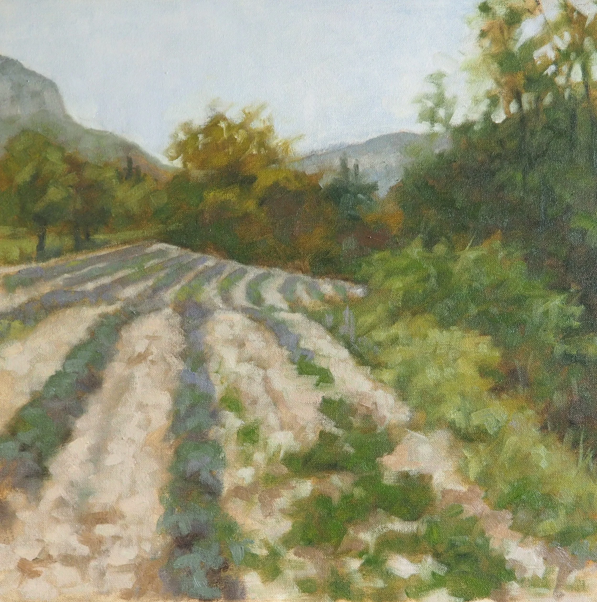 Baronnies, Spring 2026