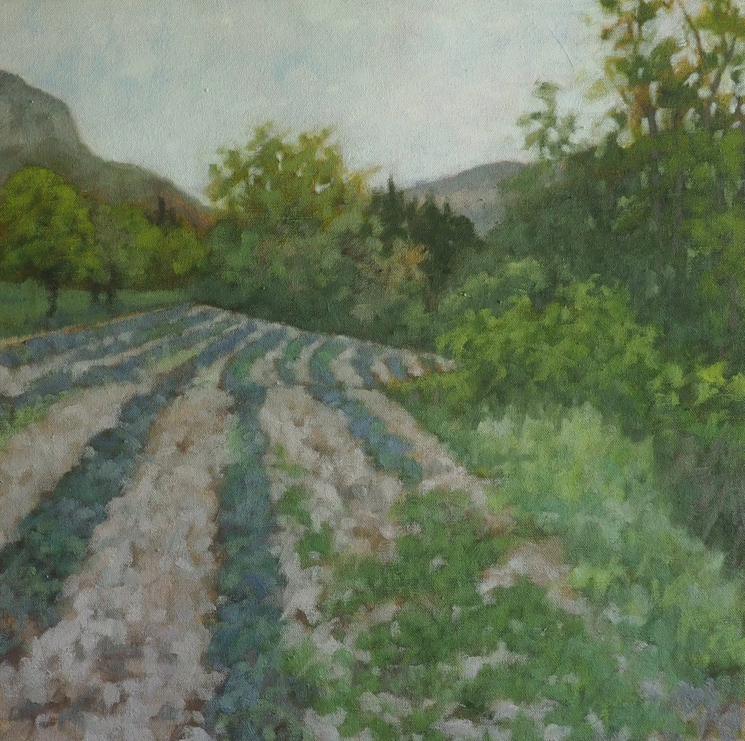 Baronnies, Spring 2026