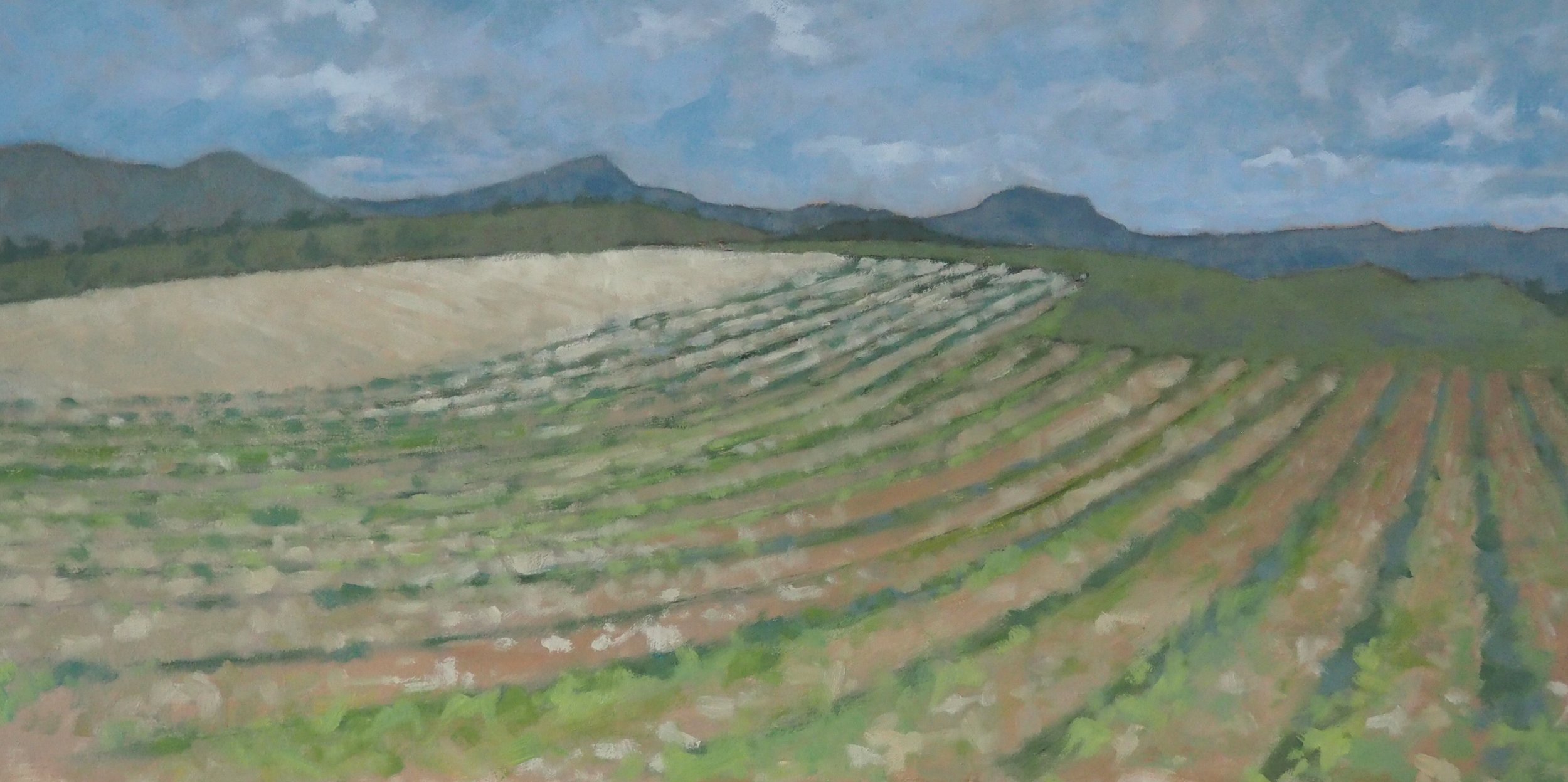 Barronies Autumn, oil on board, 60x30cm