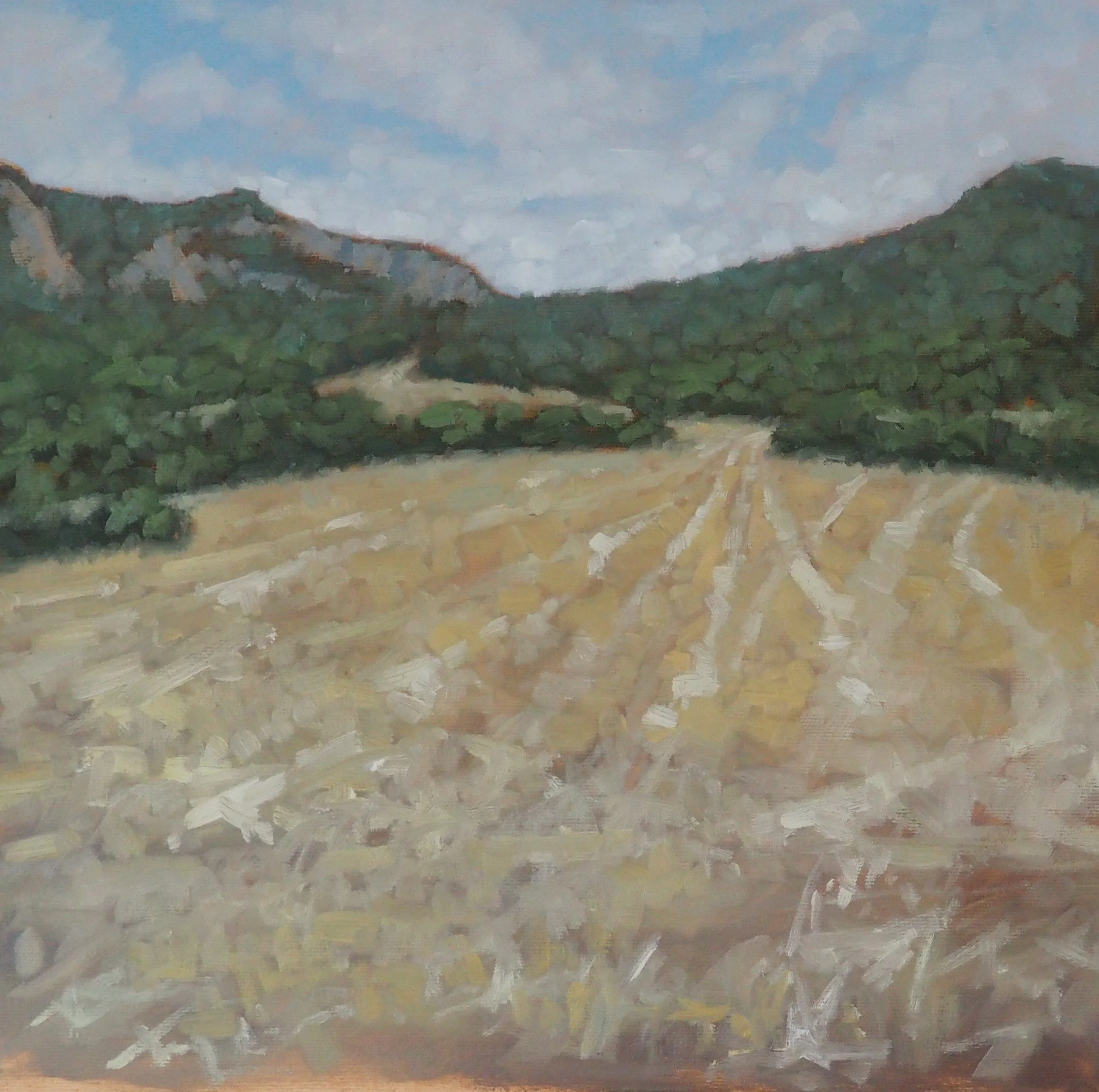 Santa Linya Fields, oil on canvas 40x40cm