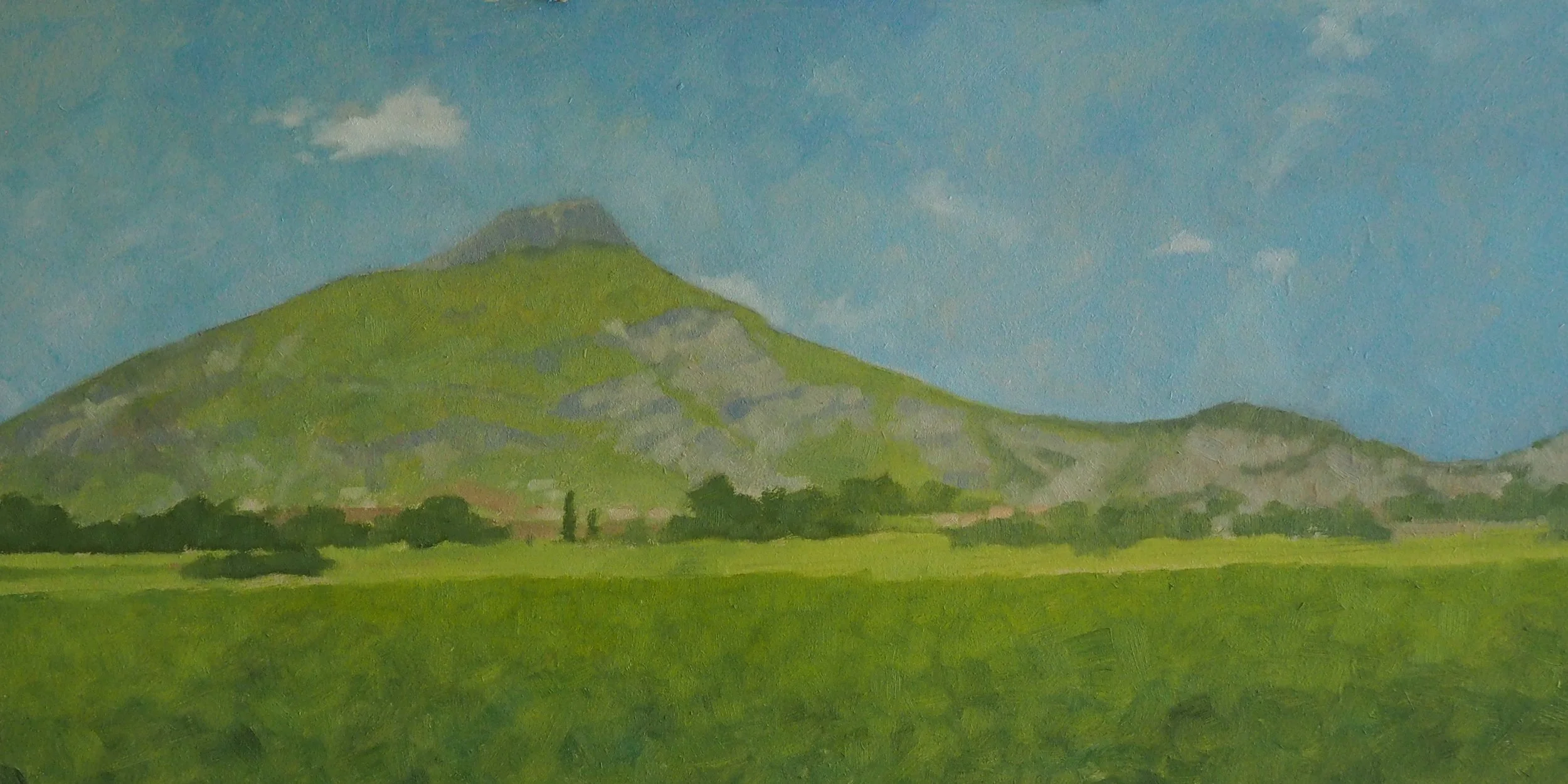 Savouran, oil on board, 30x60cm