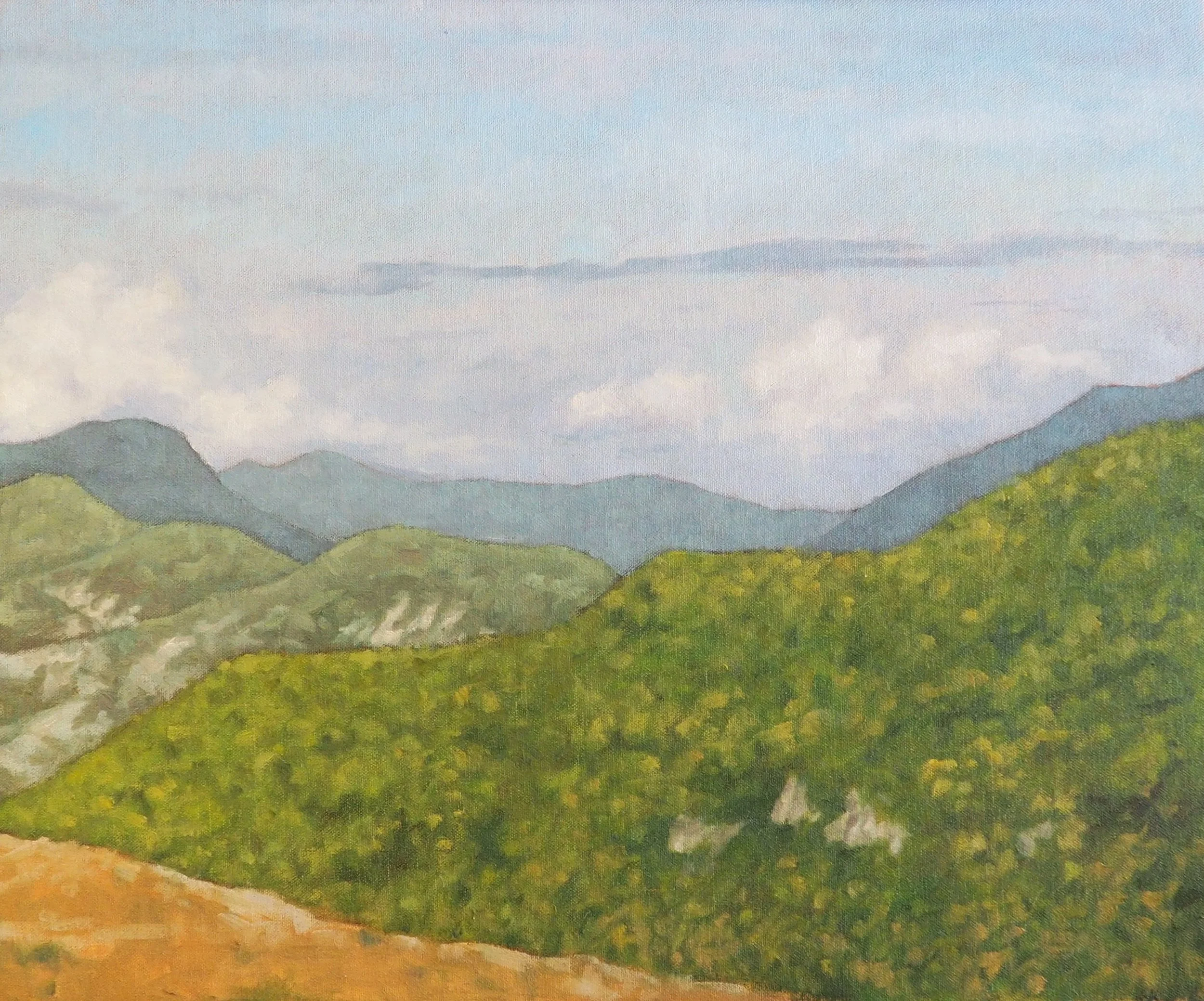 Annot Hillside, oil on canvas, 60x50cm