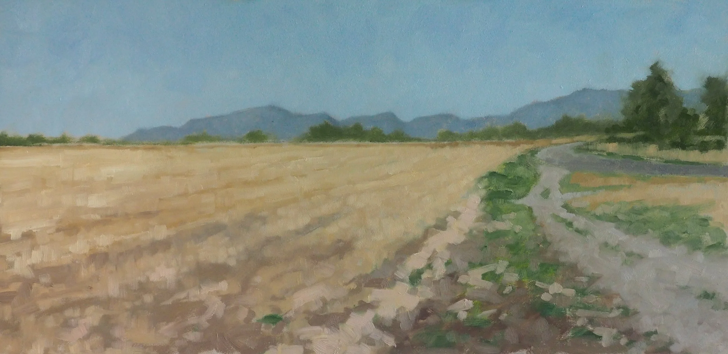 Track and Field, oil on board, 30x60cm