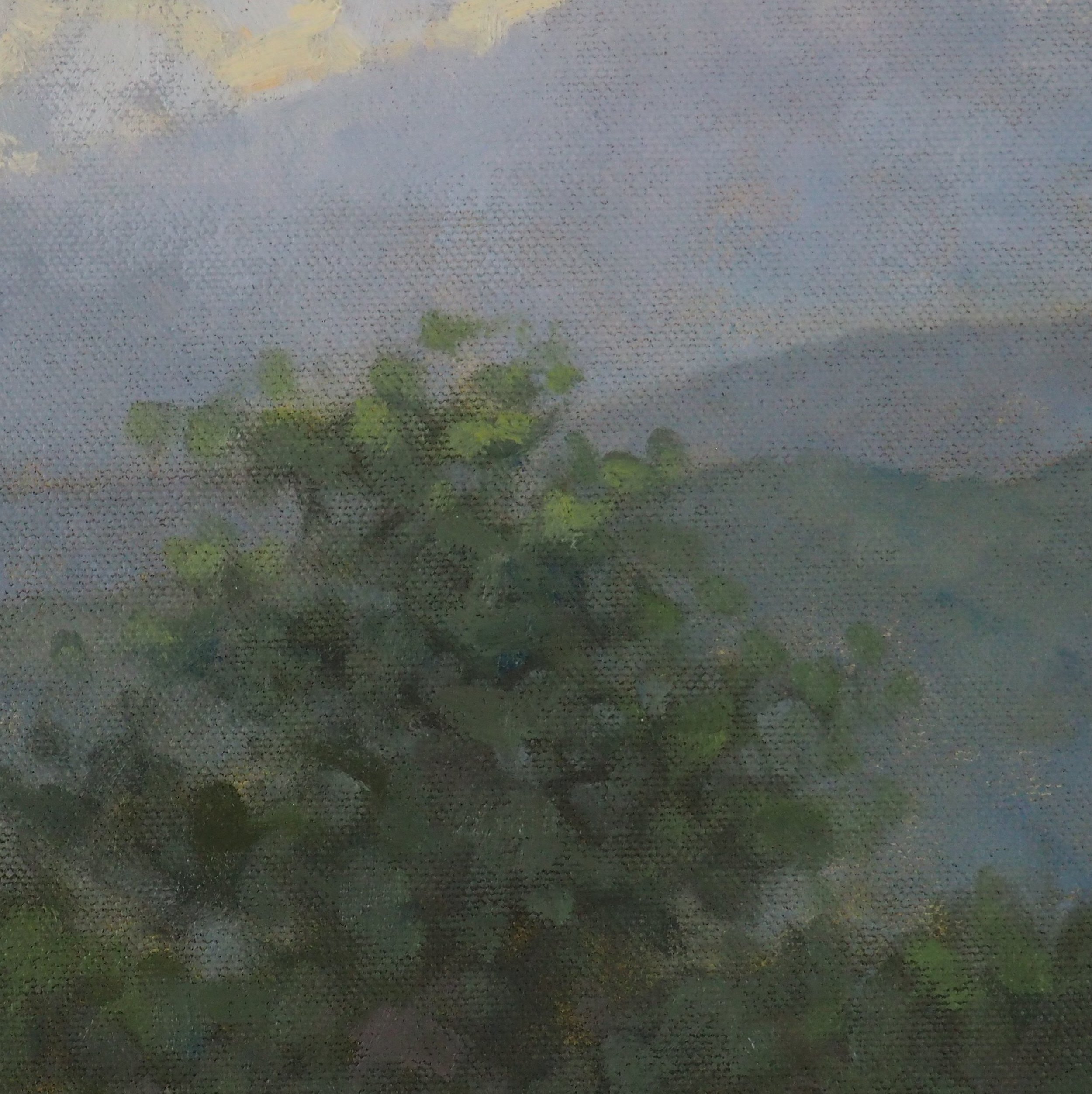 Prades evening detail 3.JPG