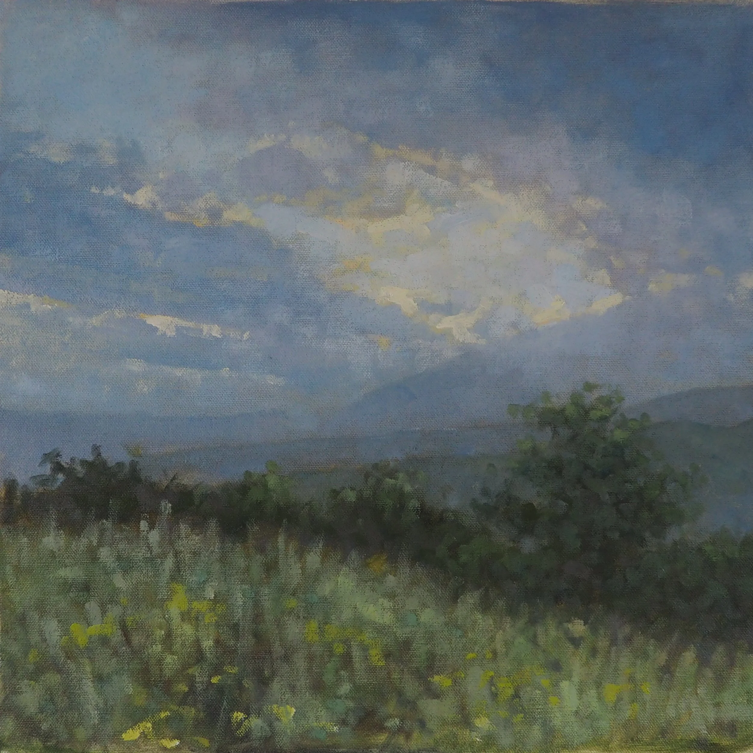 Prades Evening, oil on canvas, 40x40cm