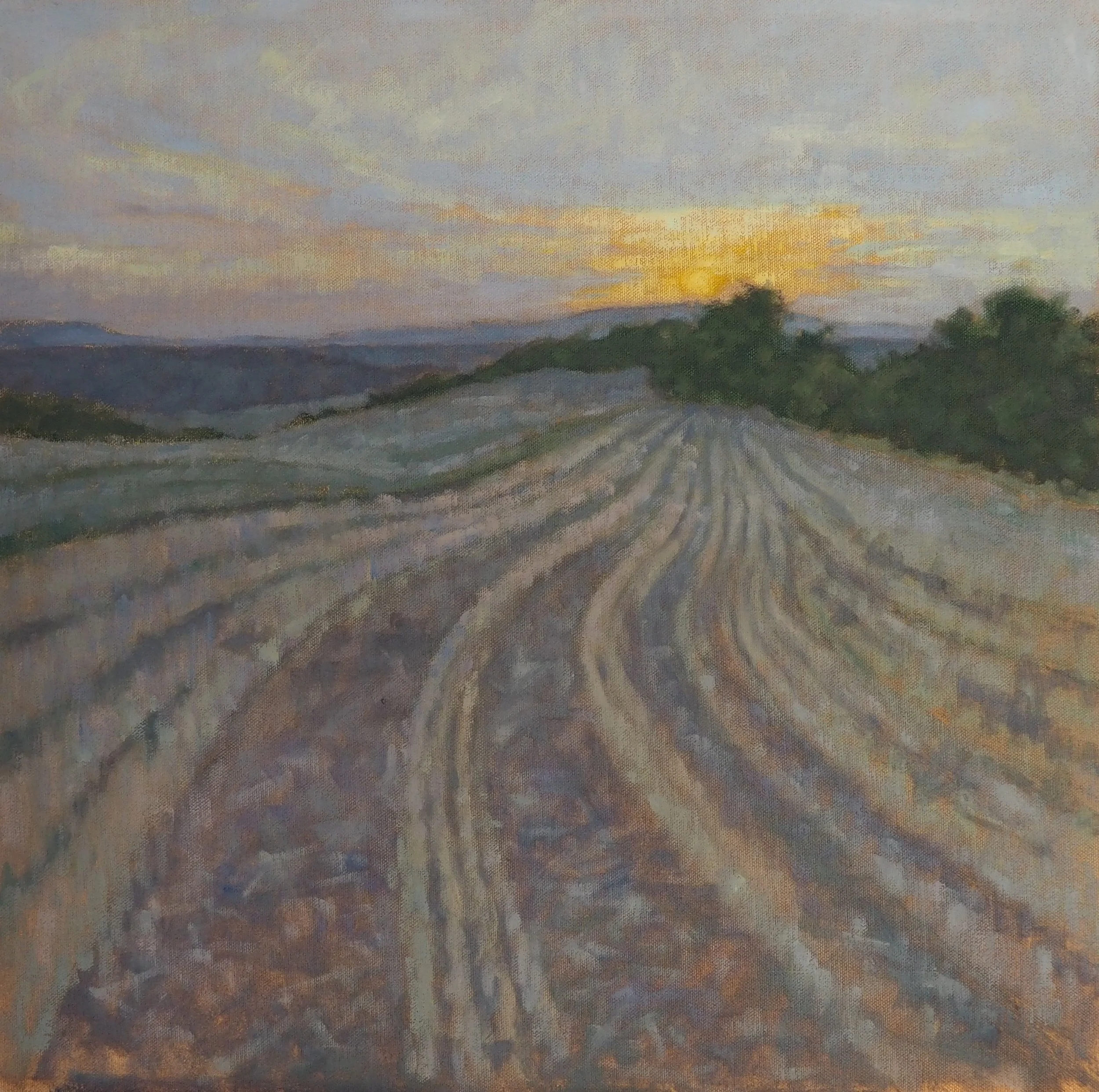 Entrevennes Evening, oil on canvas, 50x50cm