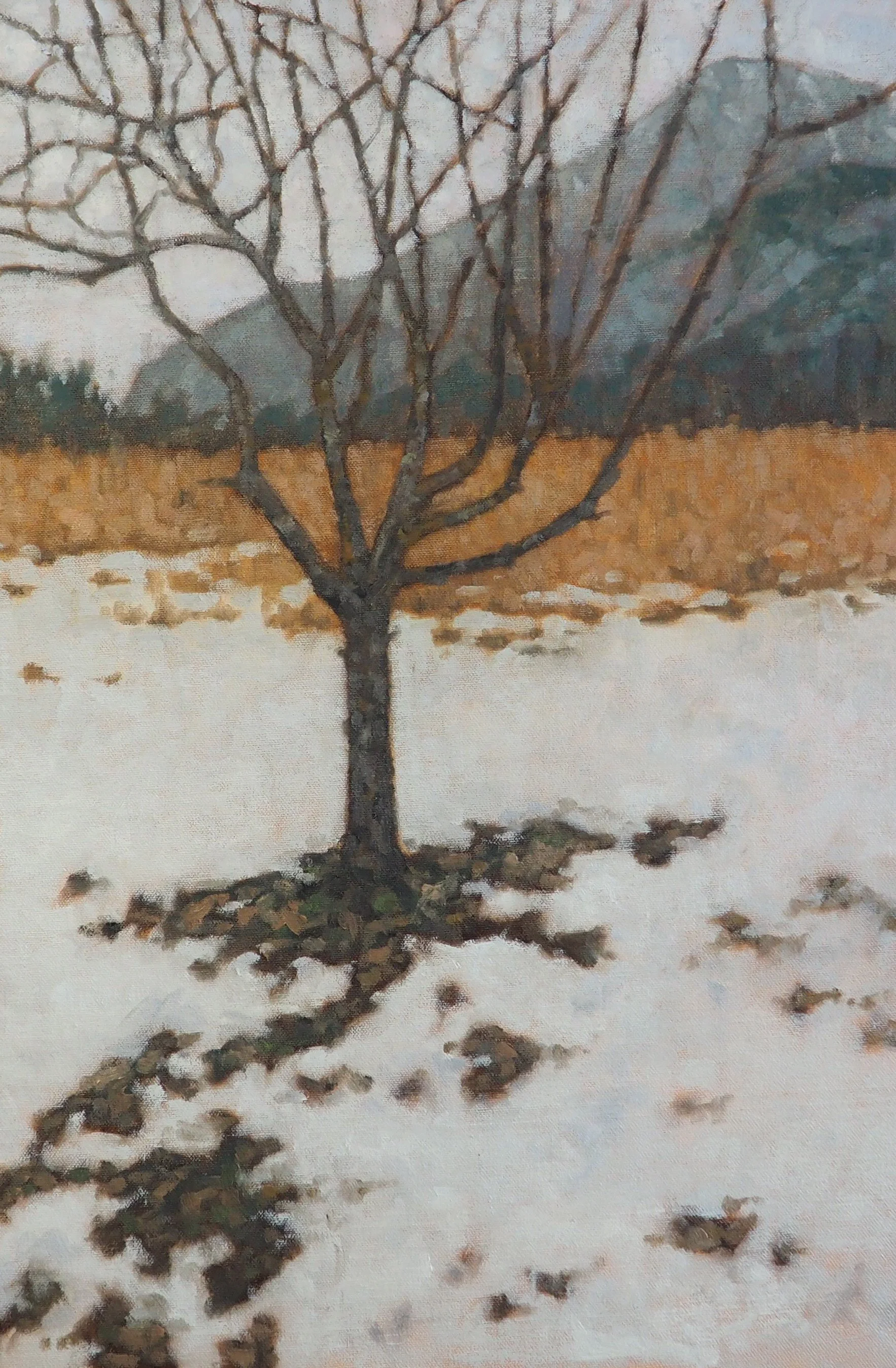 Winter Apple, oil on canvas, 60x40cm