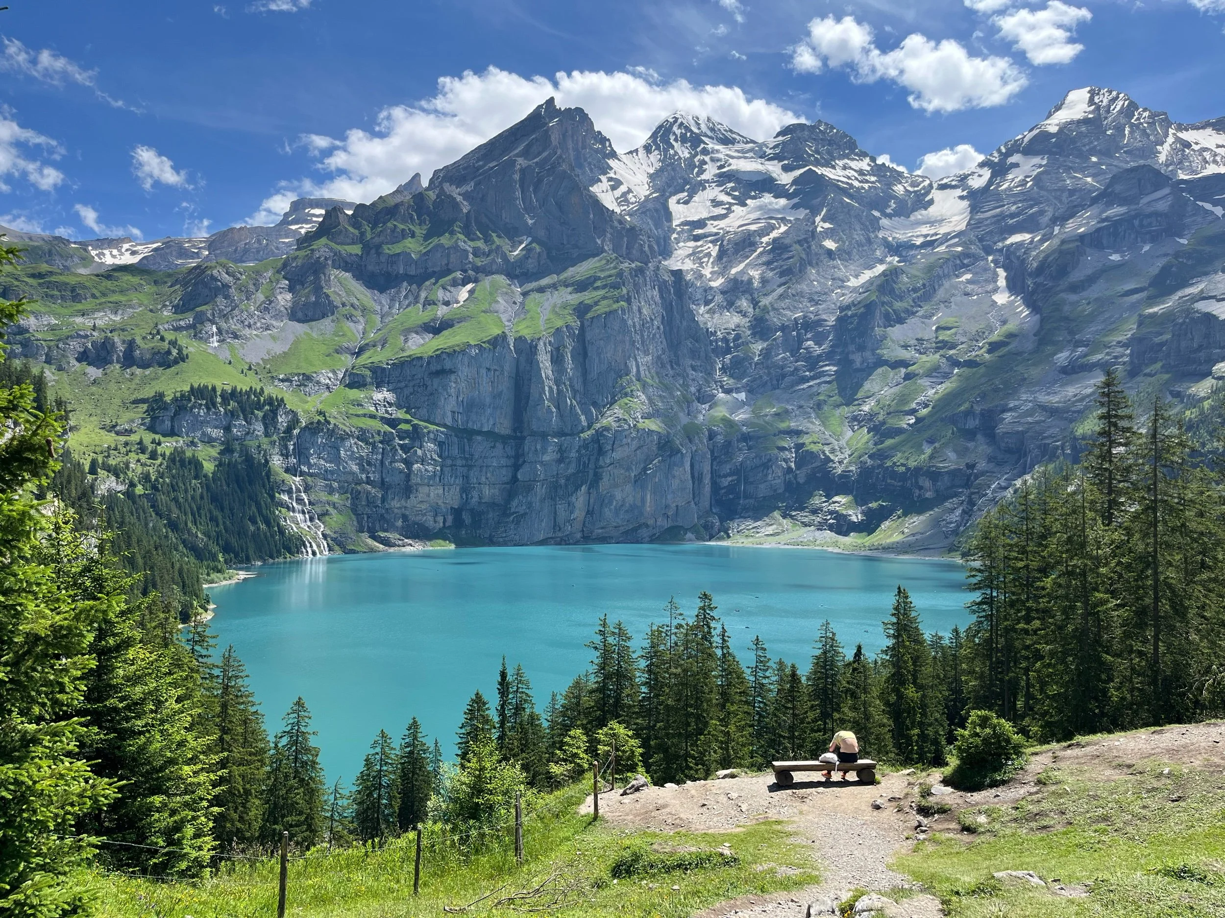 How detoxify and nourish became my life’s path to health 