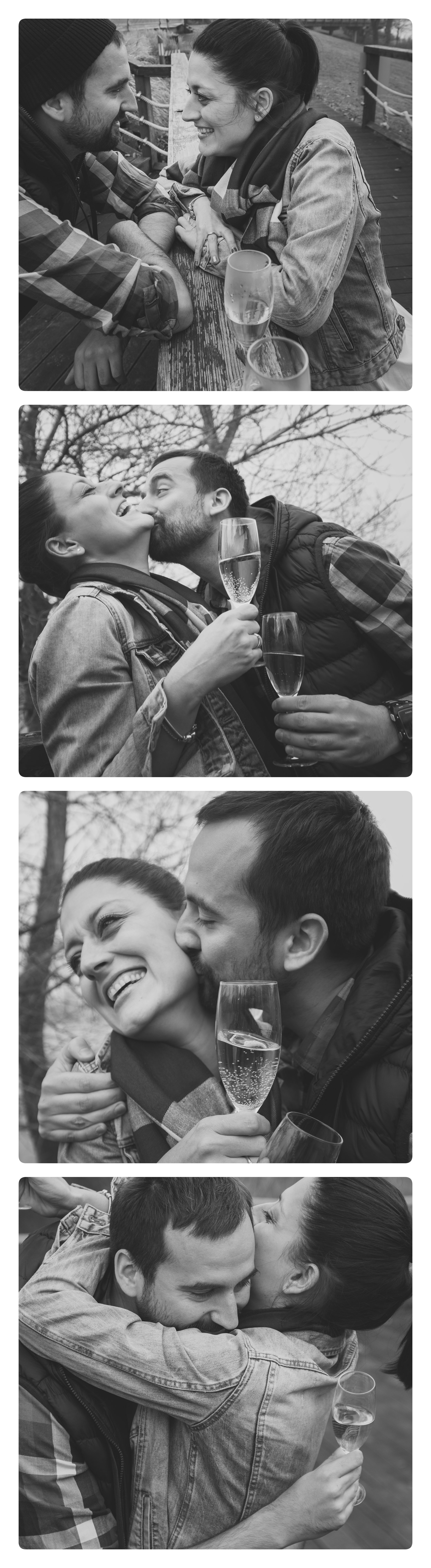 collage2.jpg