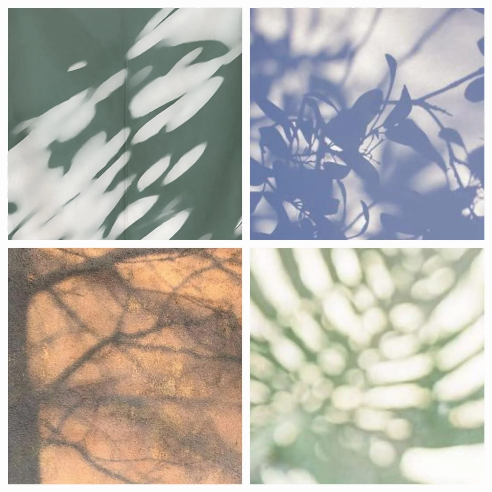 WhatsApp Image 2026-04-14 at 16.21.38 (5).jpeg