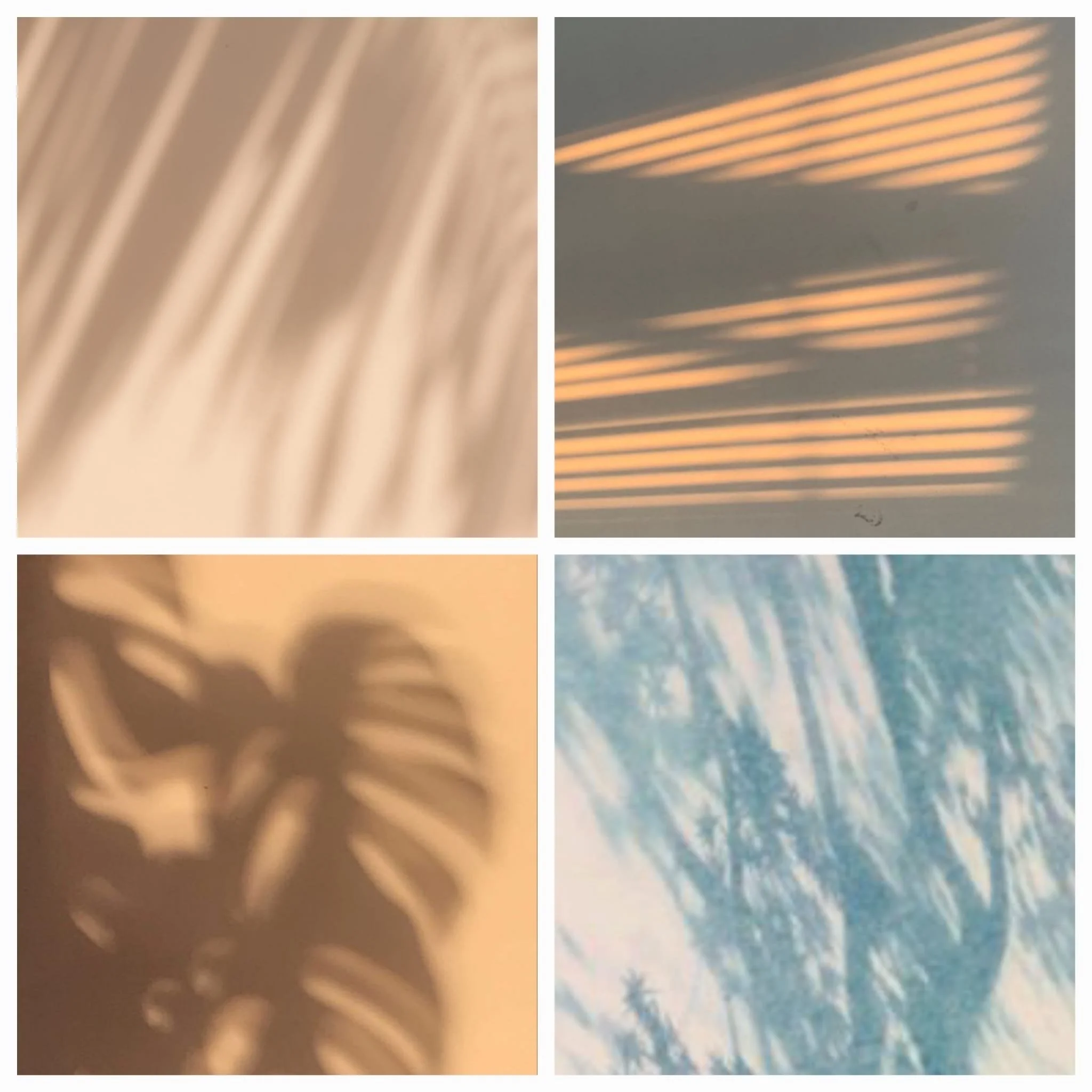 WhatsApp Image 2026-04-14 at 17.22.55.jpeg