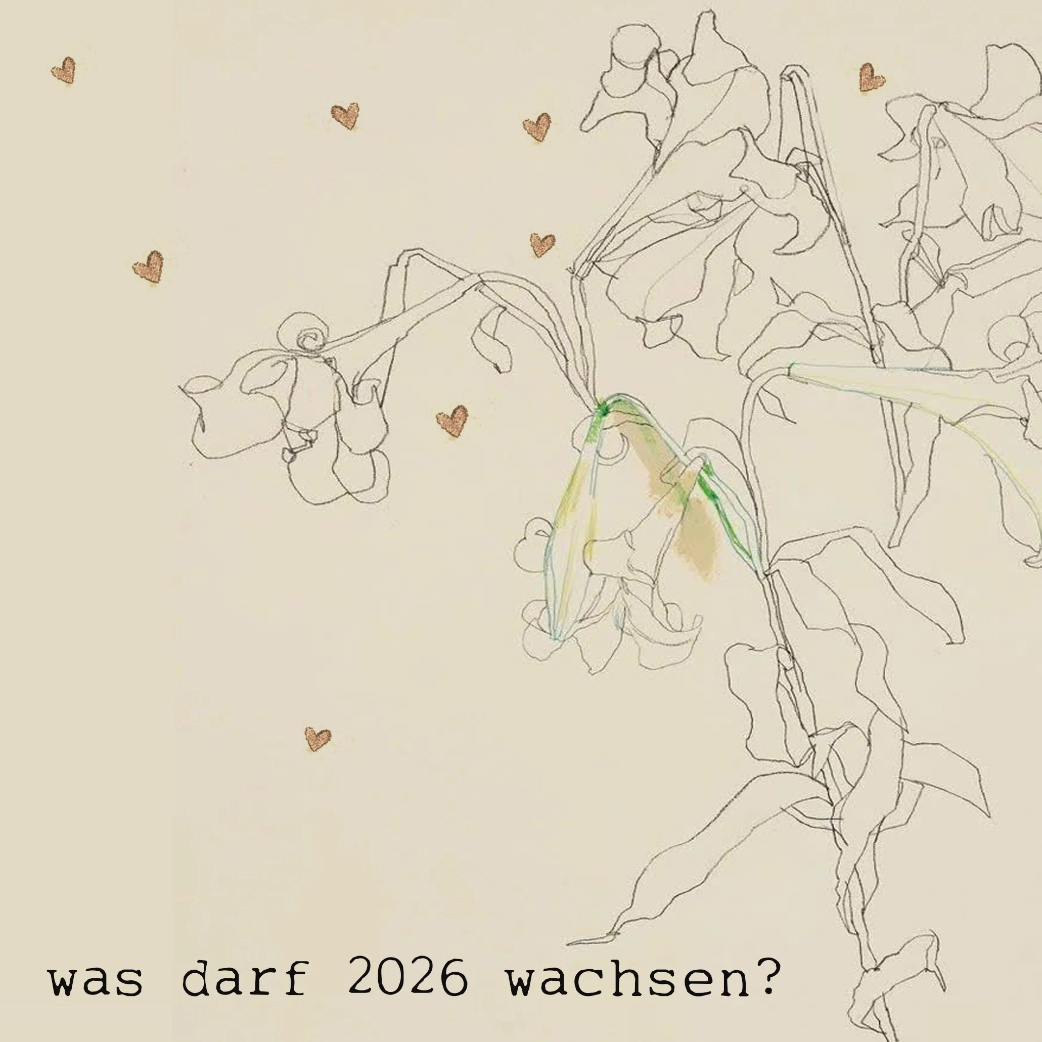 Was darf  2026 wachsen - shiringadea b.jpg