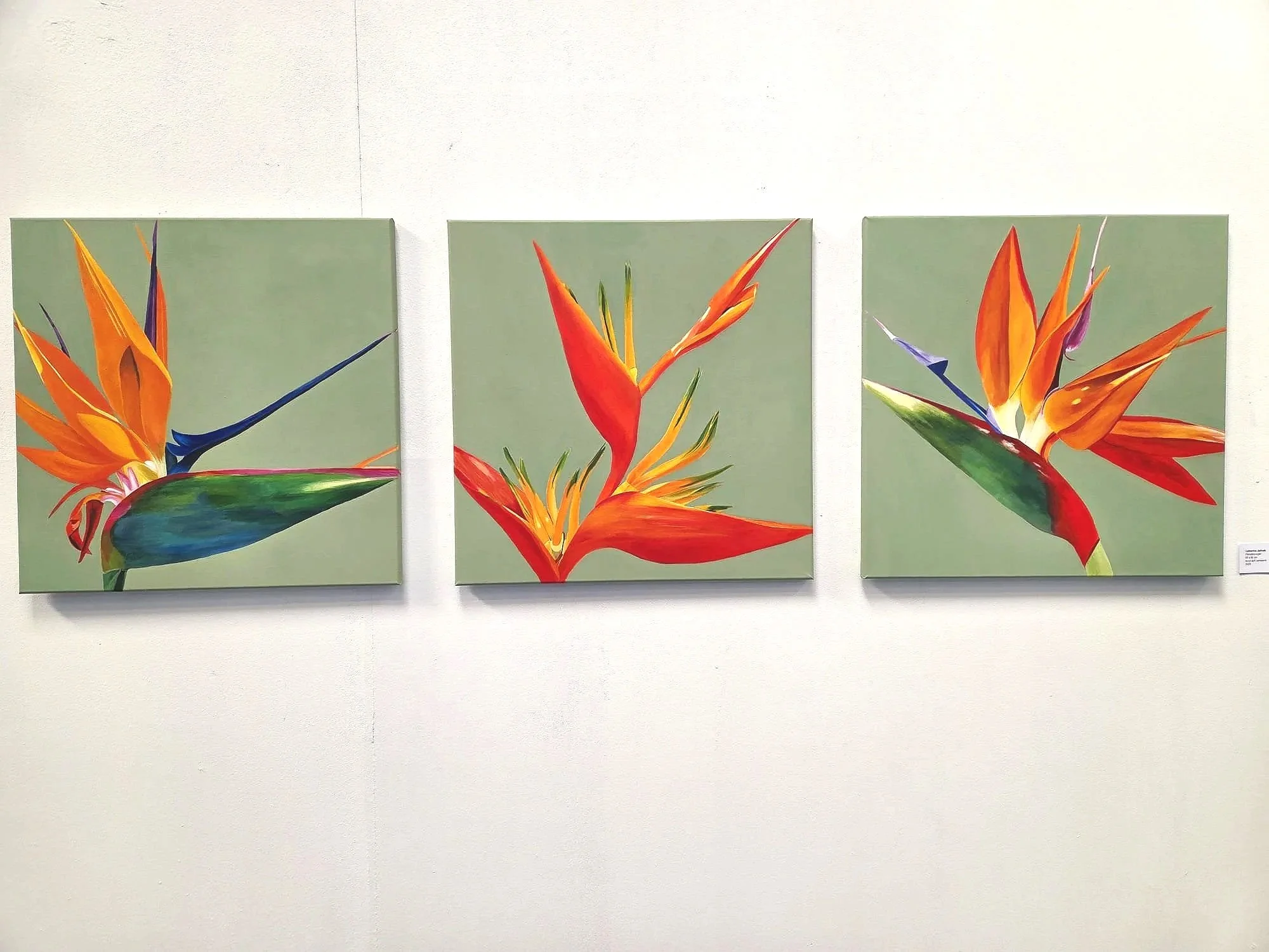 WhatsApp+Image+2026-04-20+at+07.13.34sd.jpg