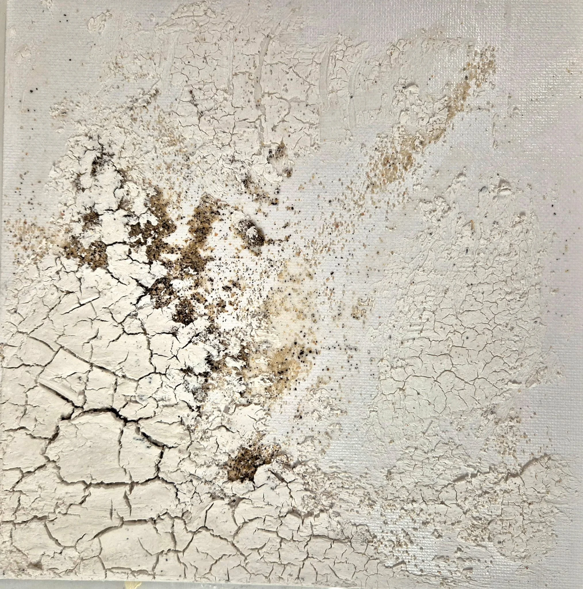 WhatsApp Image 2026-02-02 at 08.51.42.jpeg