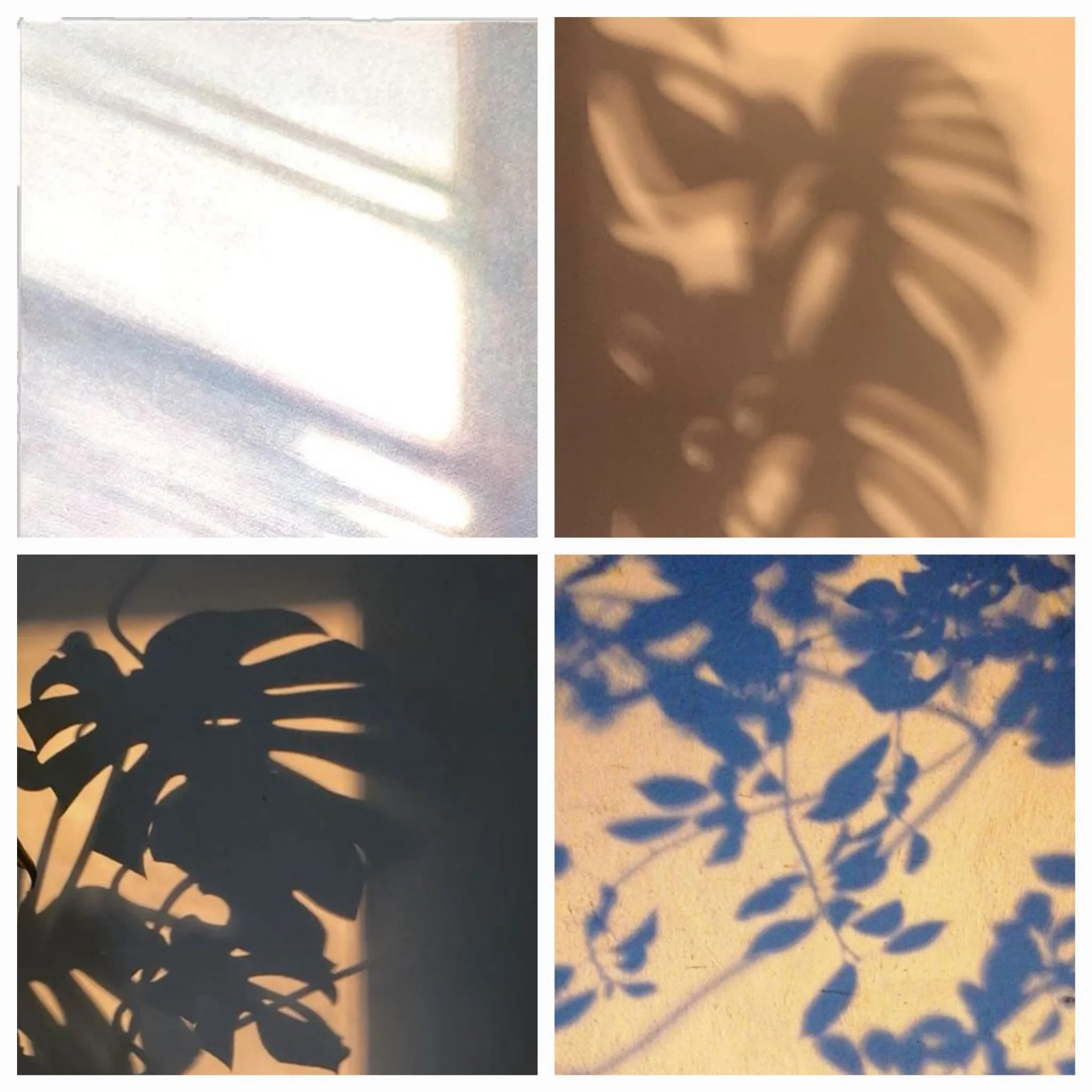 WhatsApp Image 2026-04-14 at 16.21.38 (2).jpeg