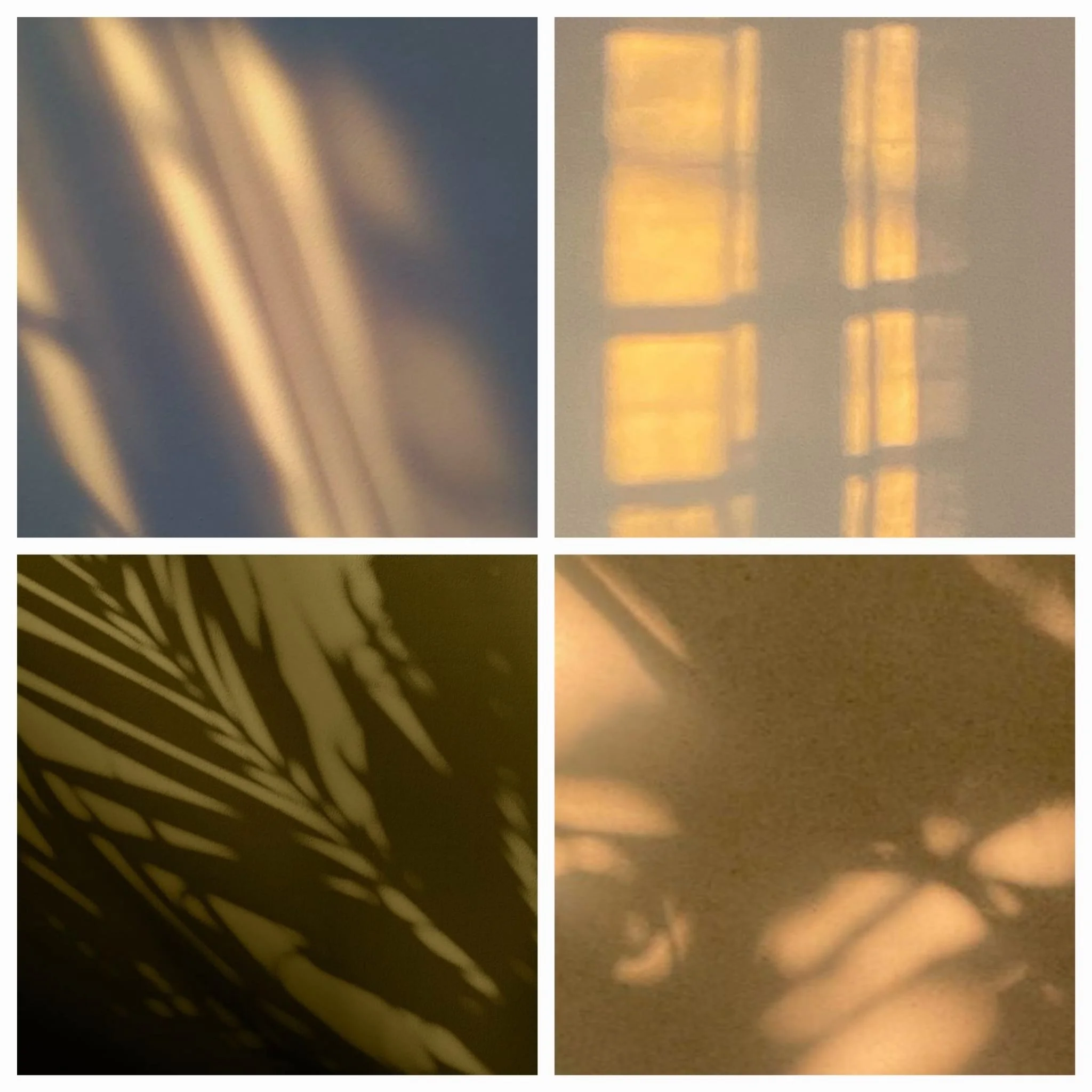 WhatsApp Image 2026-04-14 at 16.21.37.jpeg